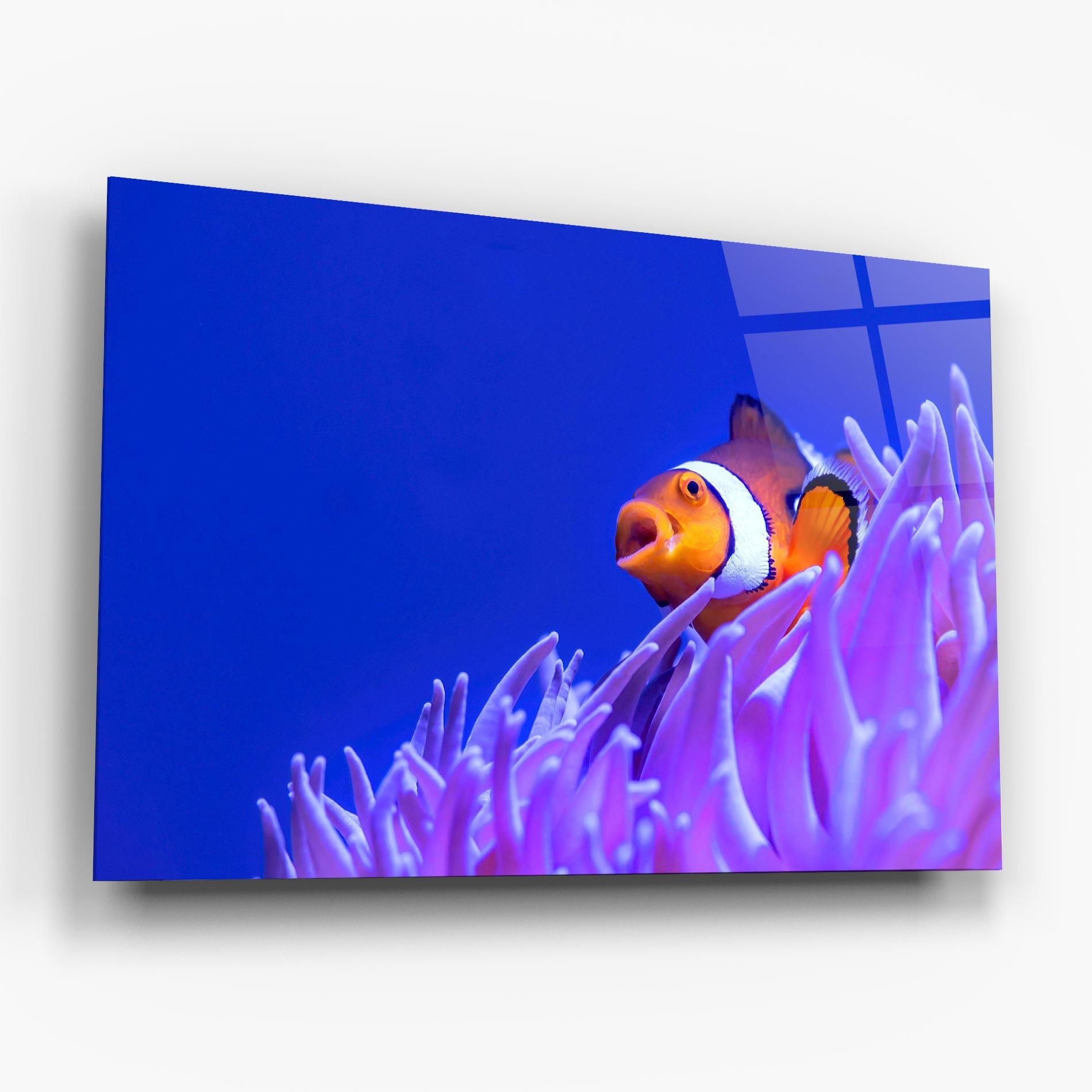 Glasbild Hungry Nemo mockup 6