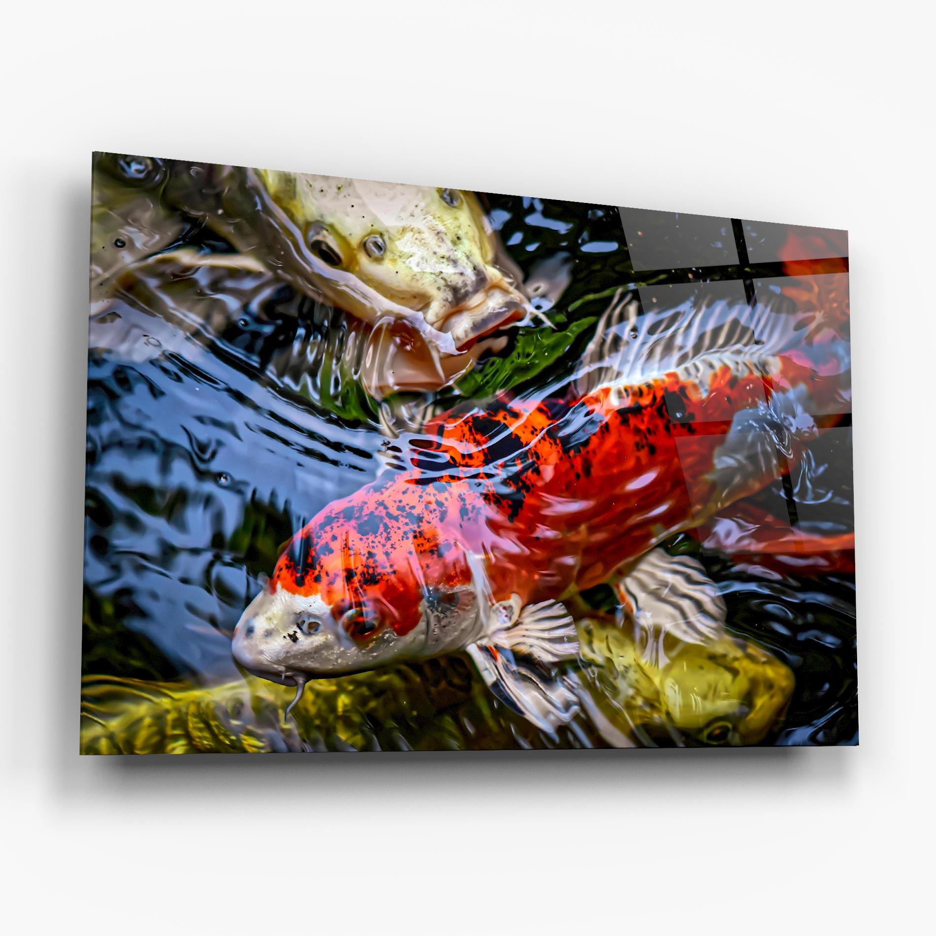 Glasbild Koi mockup 6