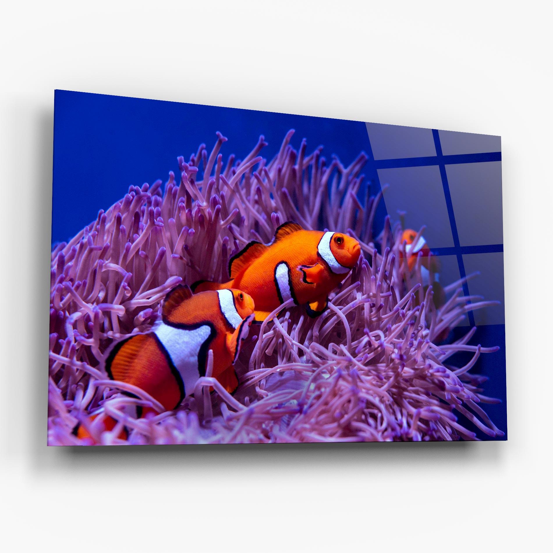 Glasbild Nemo Family mockup 6