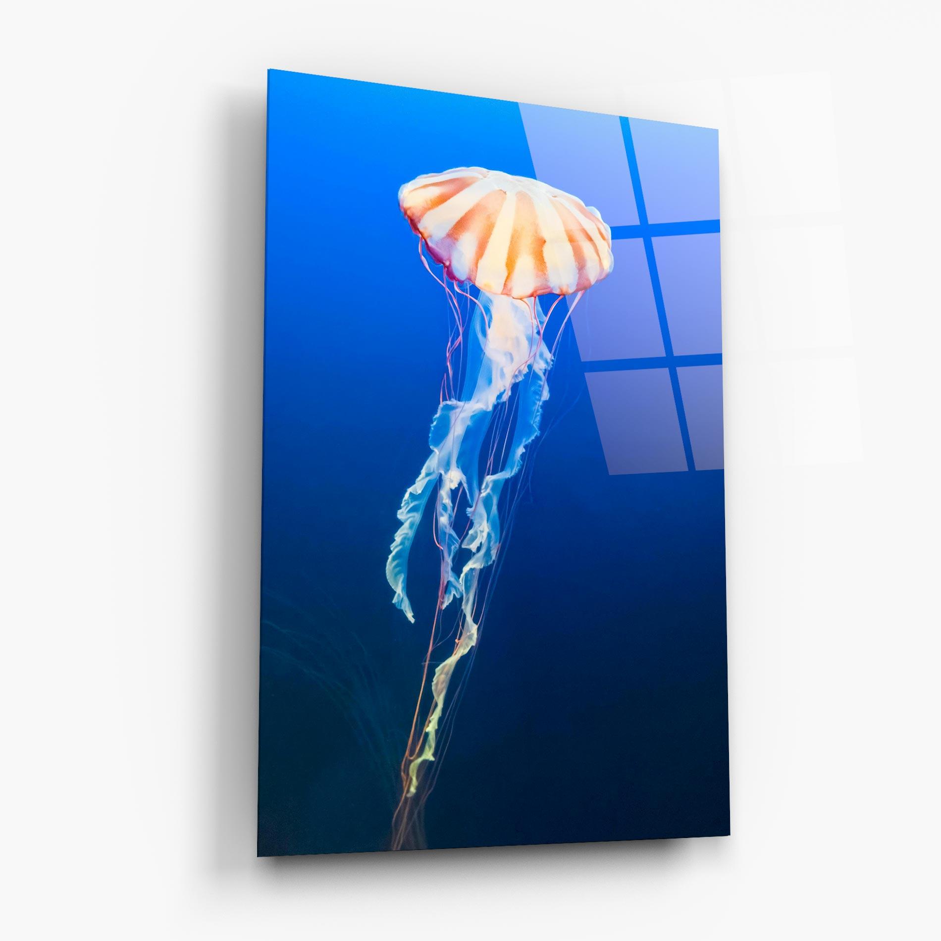 Glasbild Cream Jellyfish mockup 6