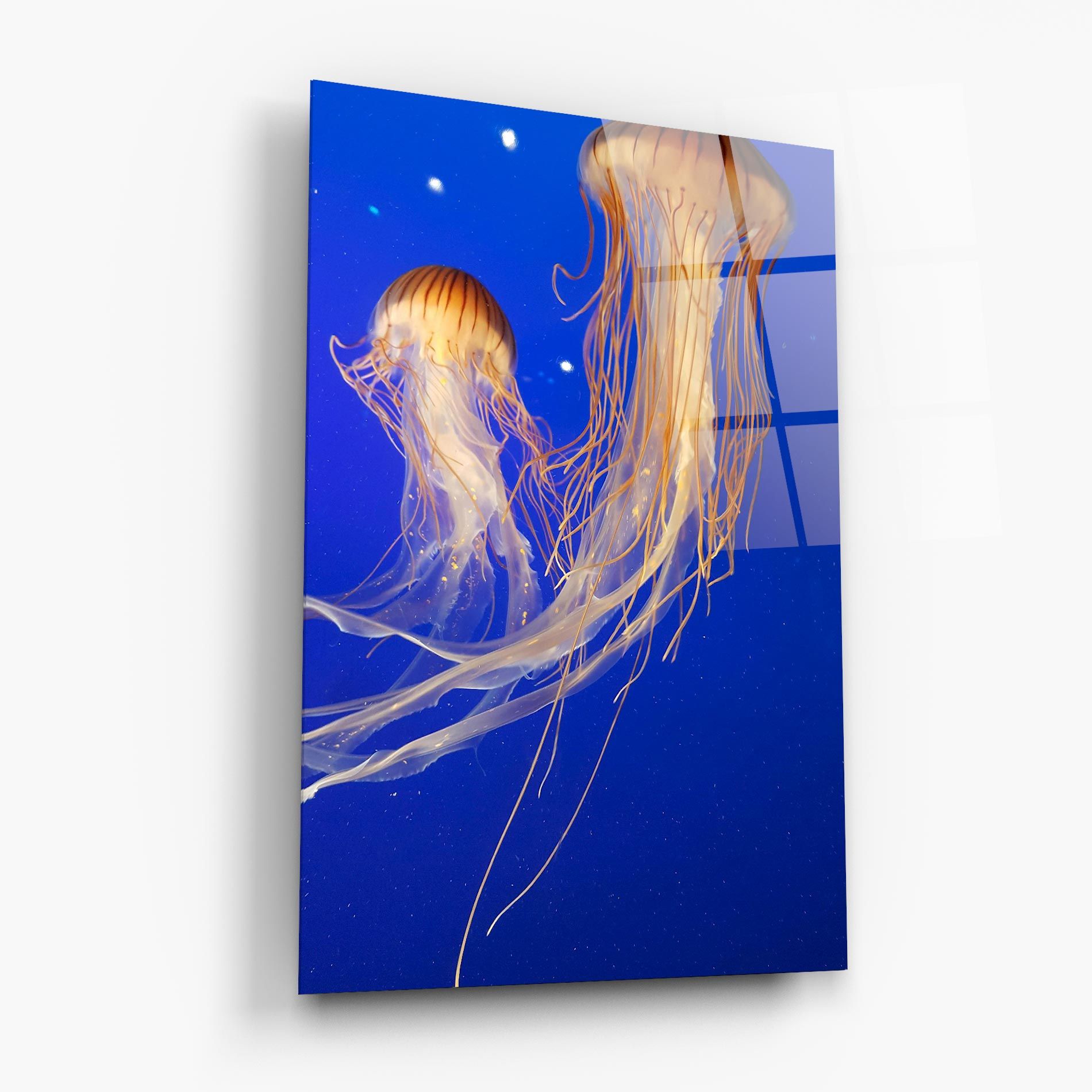 Light Orange Jellyfish mockup 6
