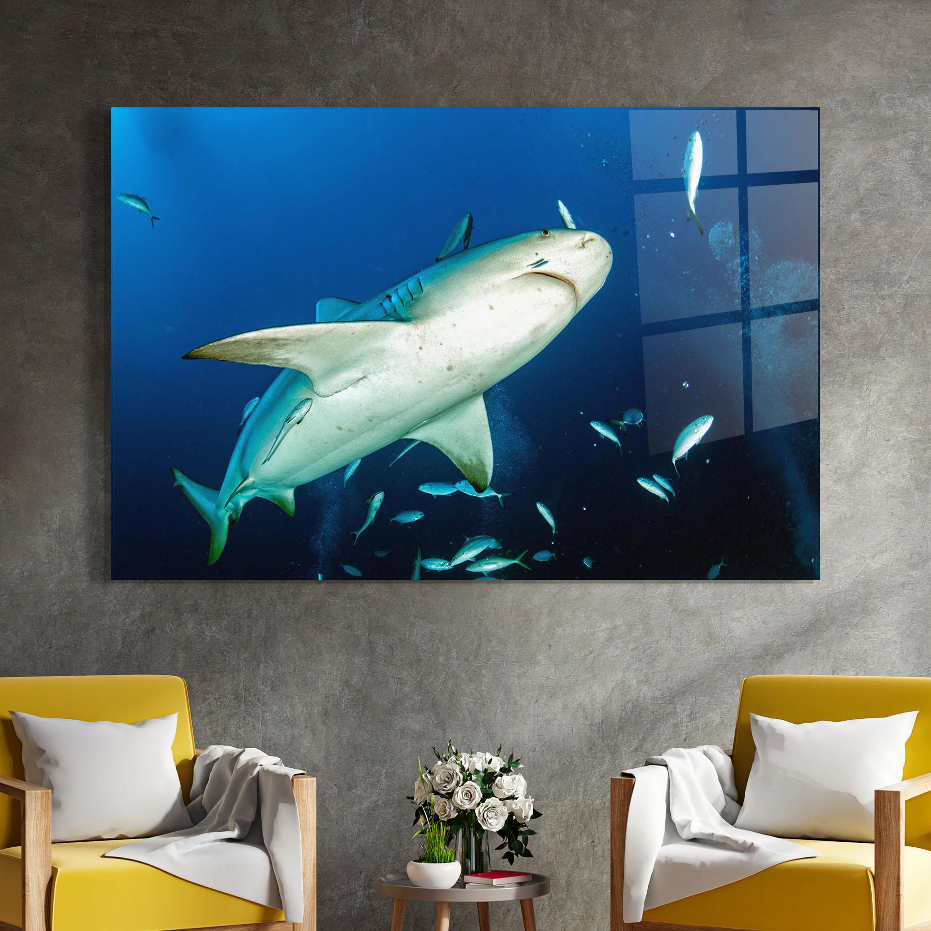 Glasbild Bull Shark mockup 4
