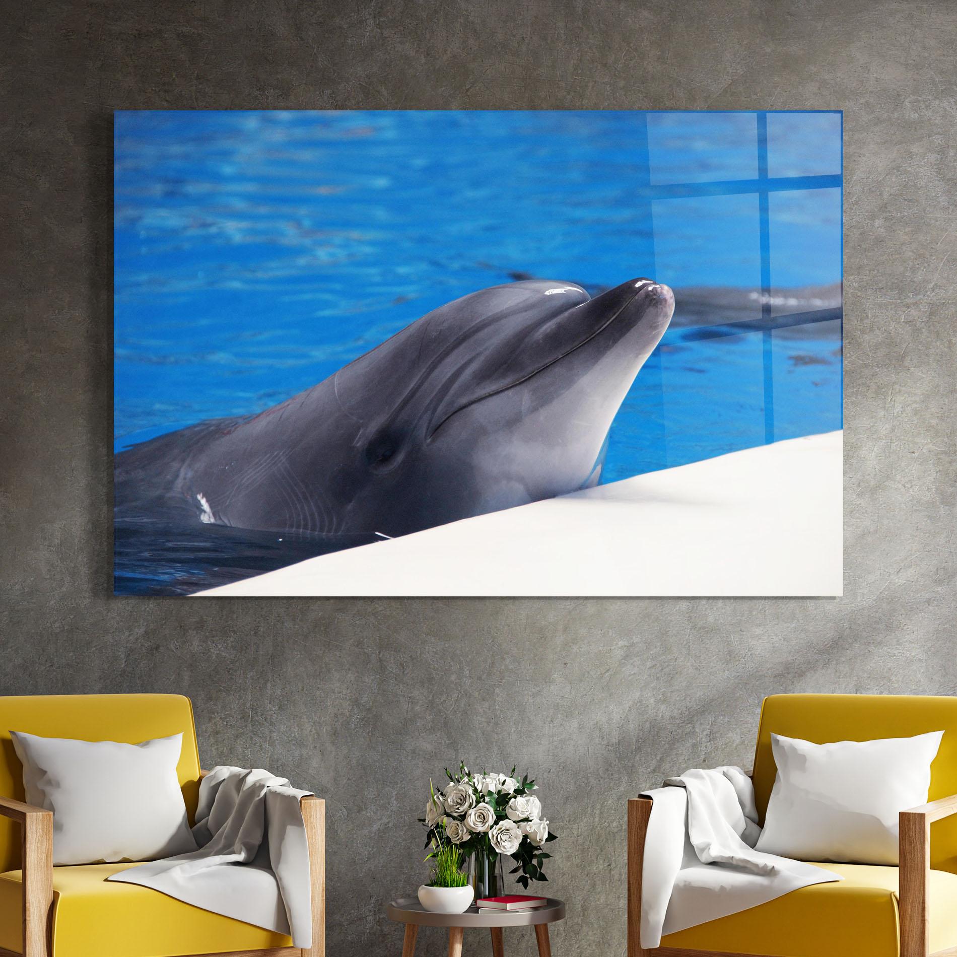 Glasbild Cute Dolphin mockup 4