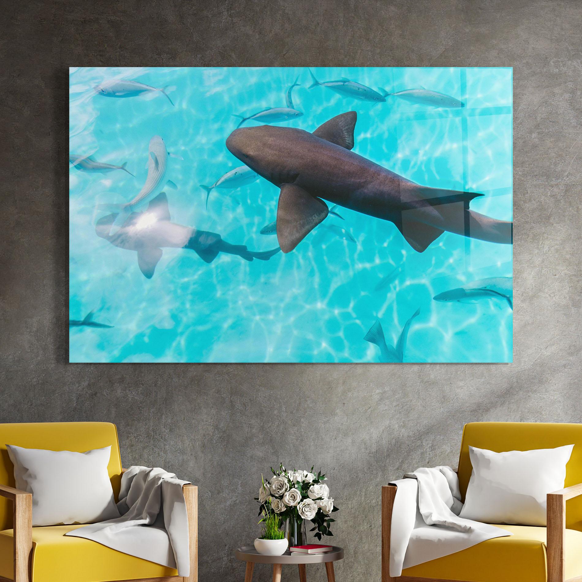 Glasbild Cute Shark mockup 4