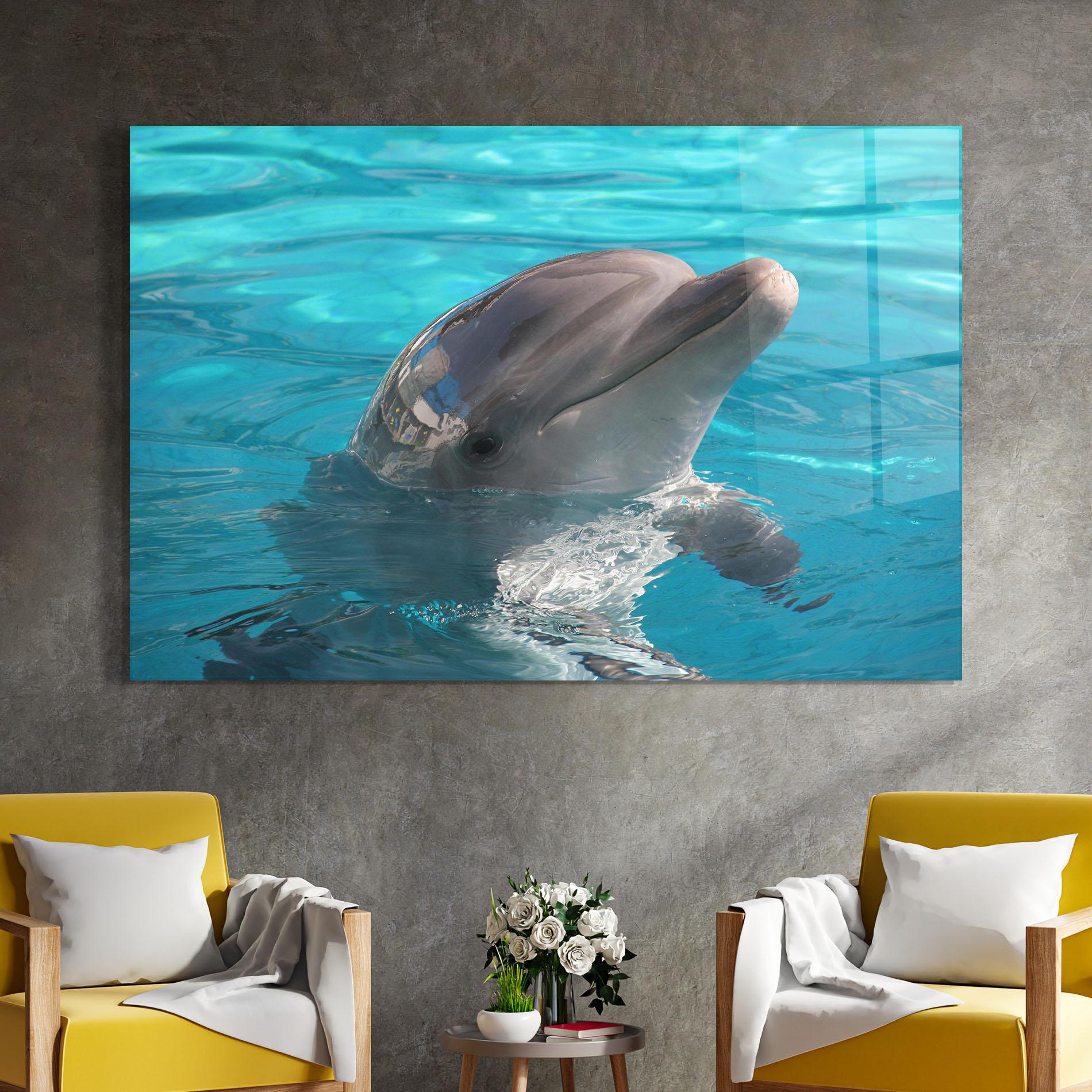 Glasbild Dolphin Poses mockup 4