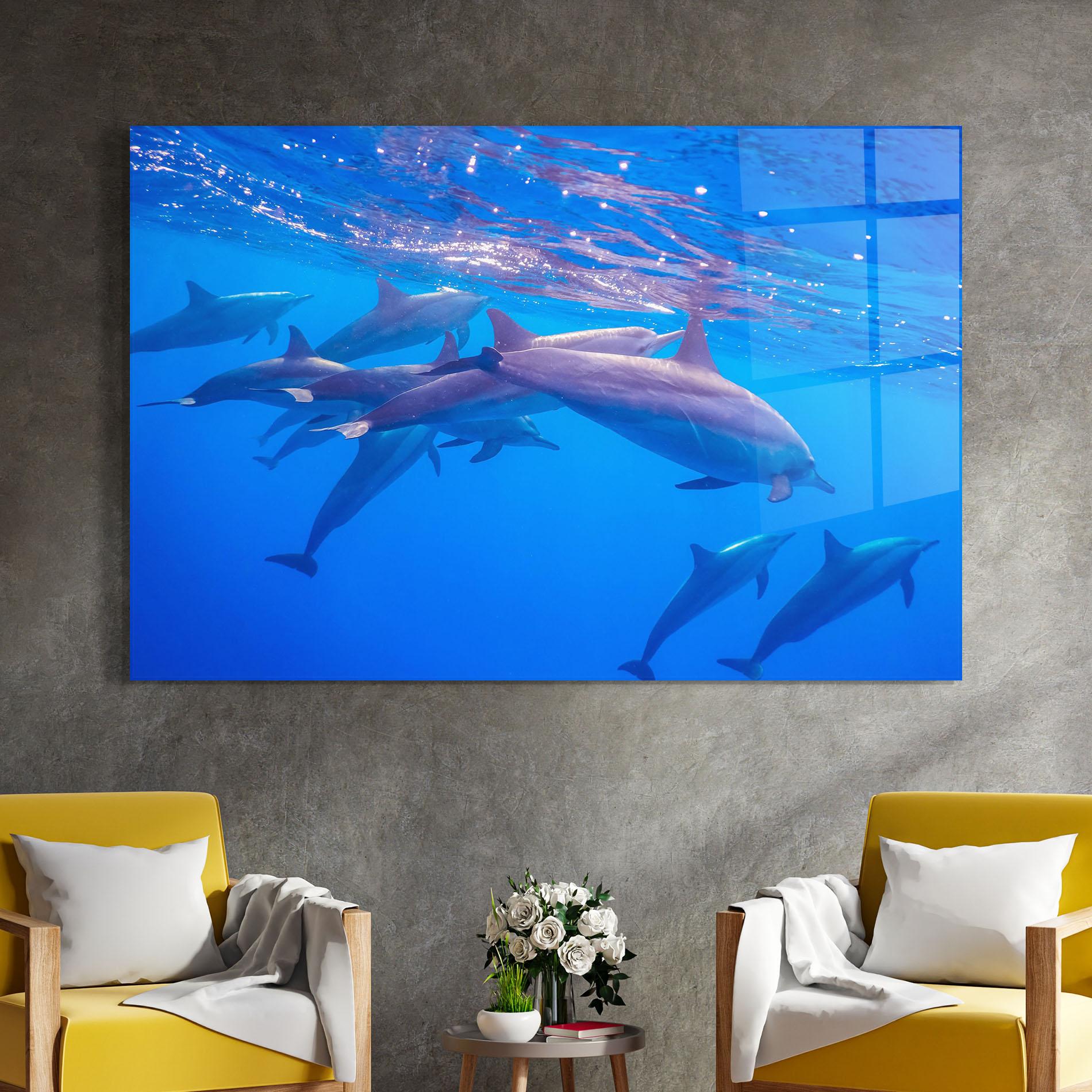 Glasbild Dolphin Family mockup 4