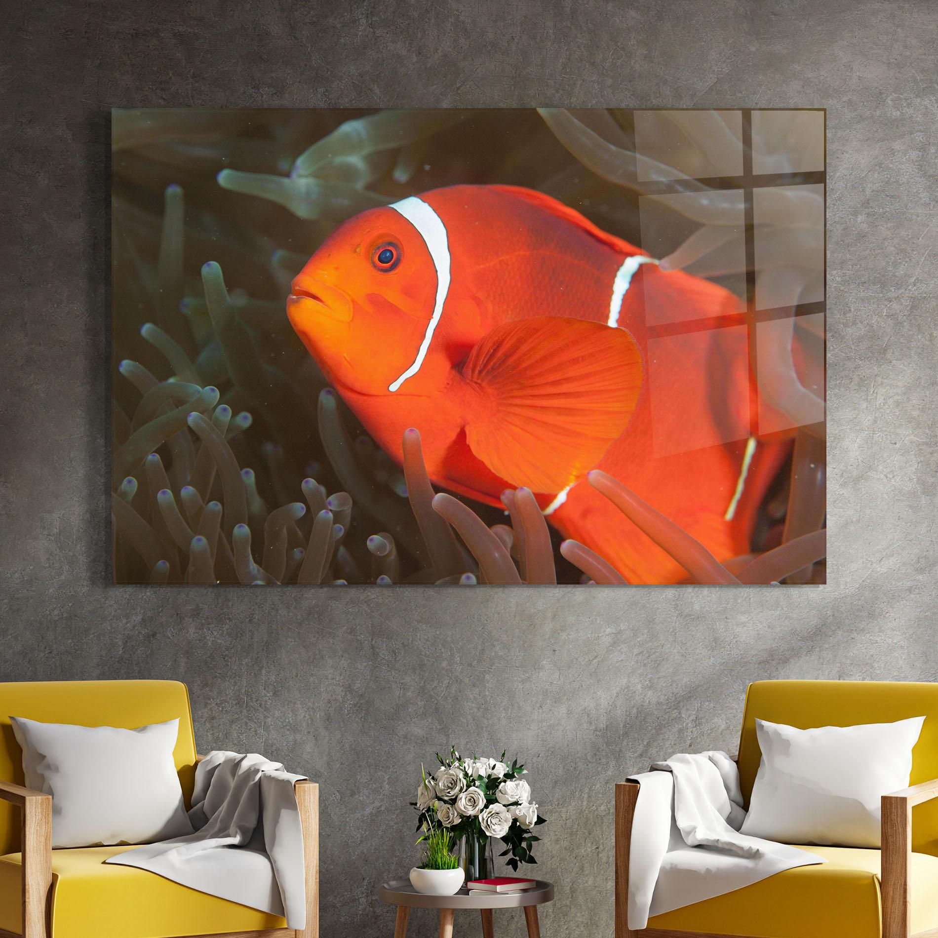 Glasbild Nemo Clownfish mockup 4
