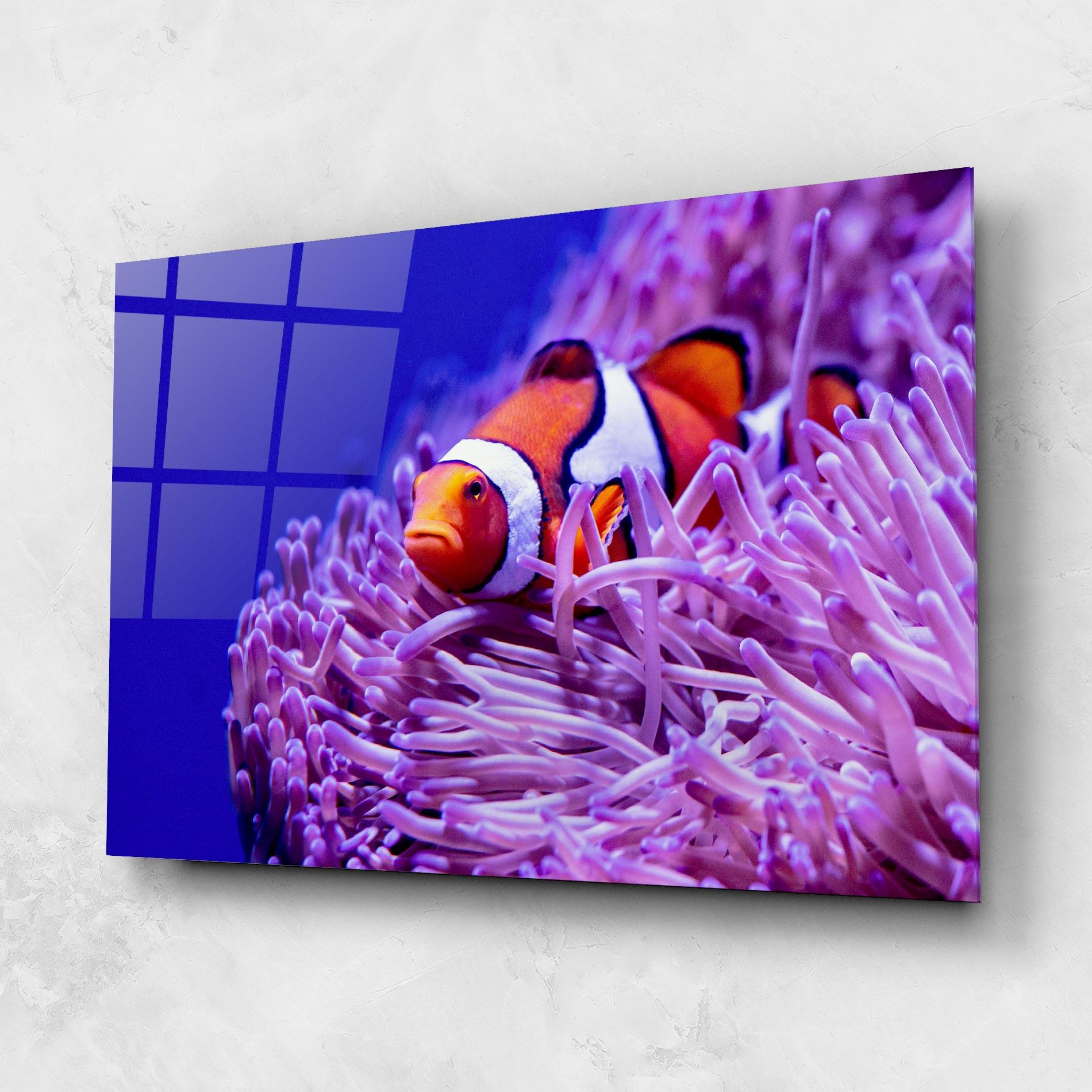 Glasbild Angry Nemo mockup 1