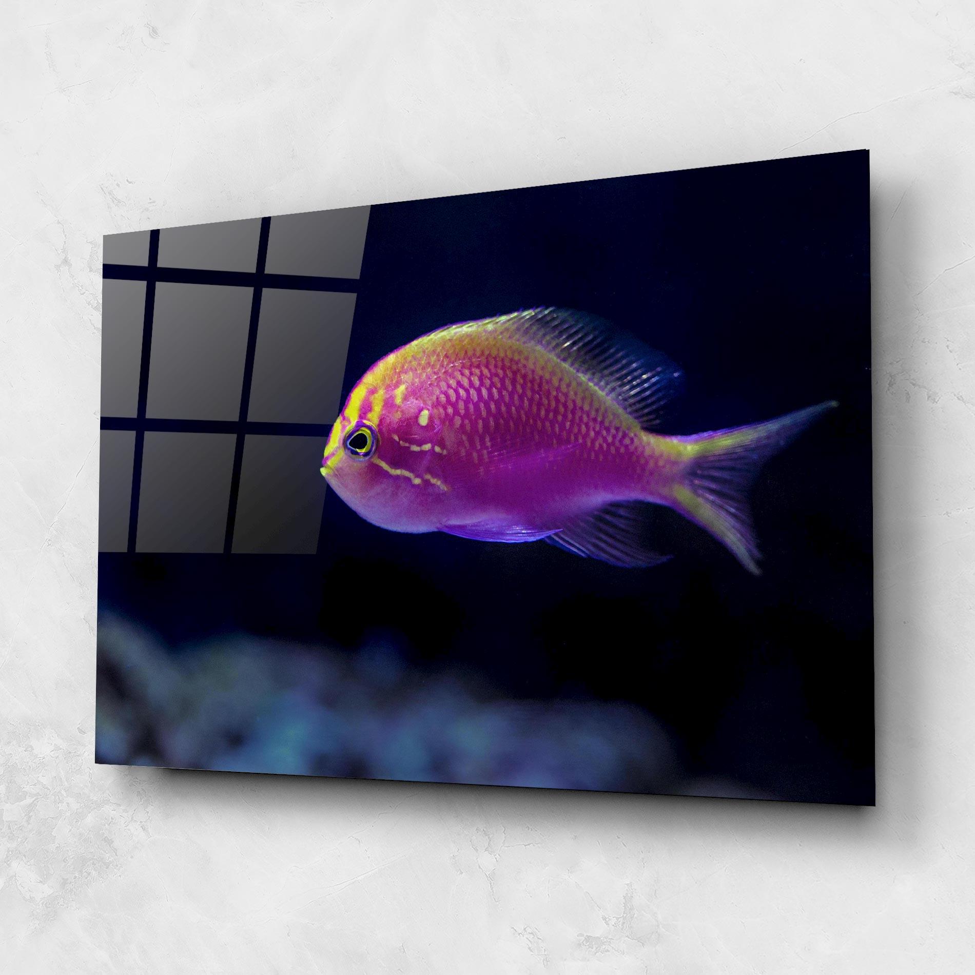 Glasbild Angry Pink Fish mockup 1