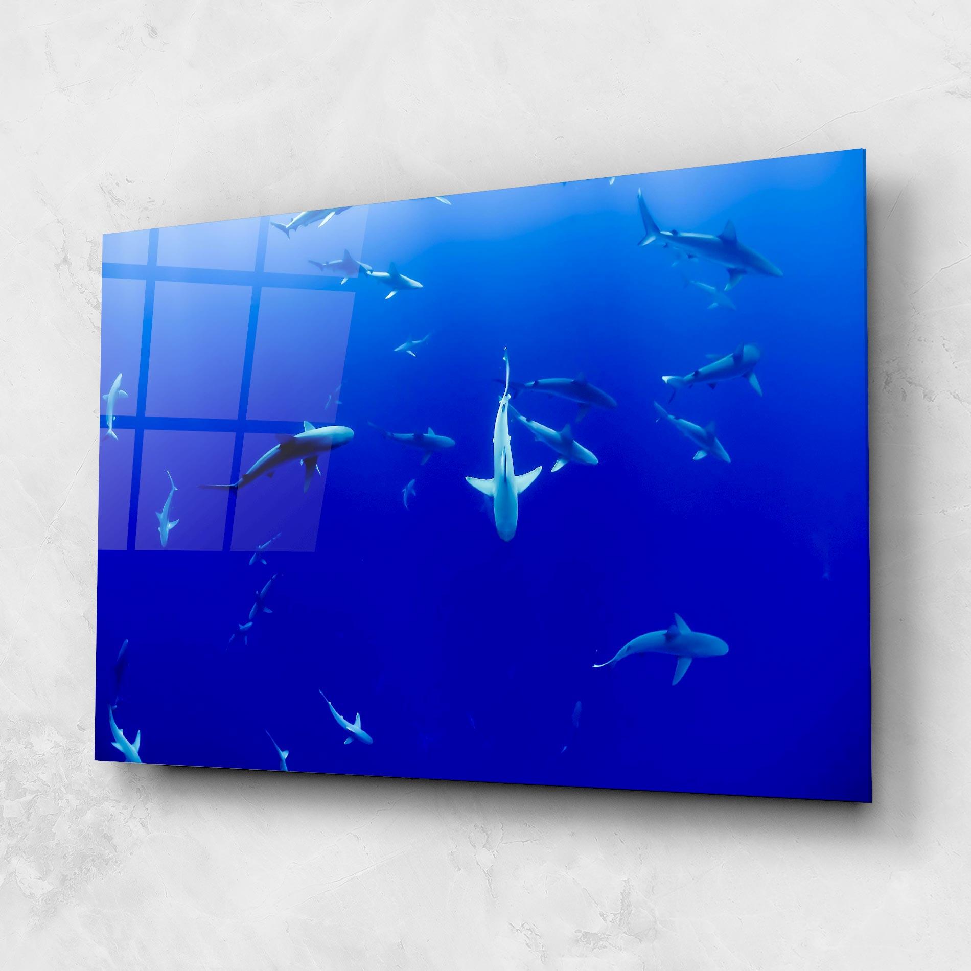 Glasbild Baby Sharks mockup 1