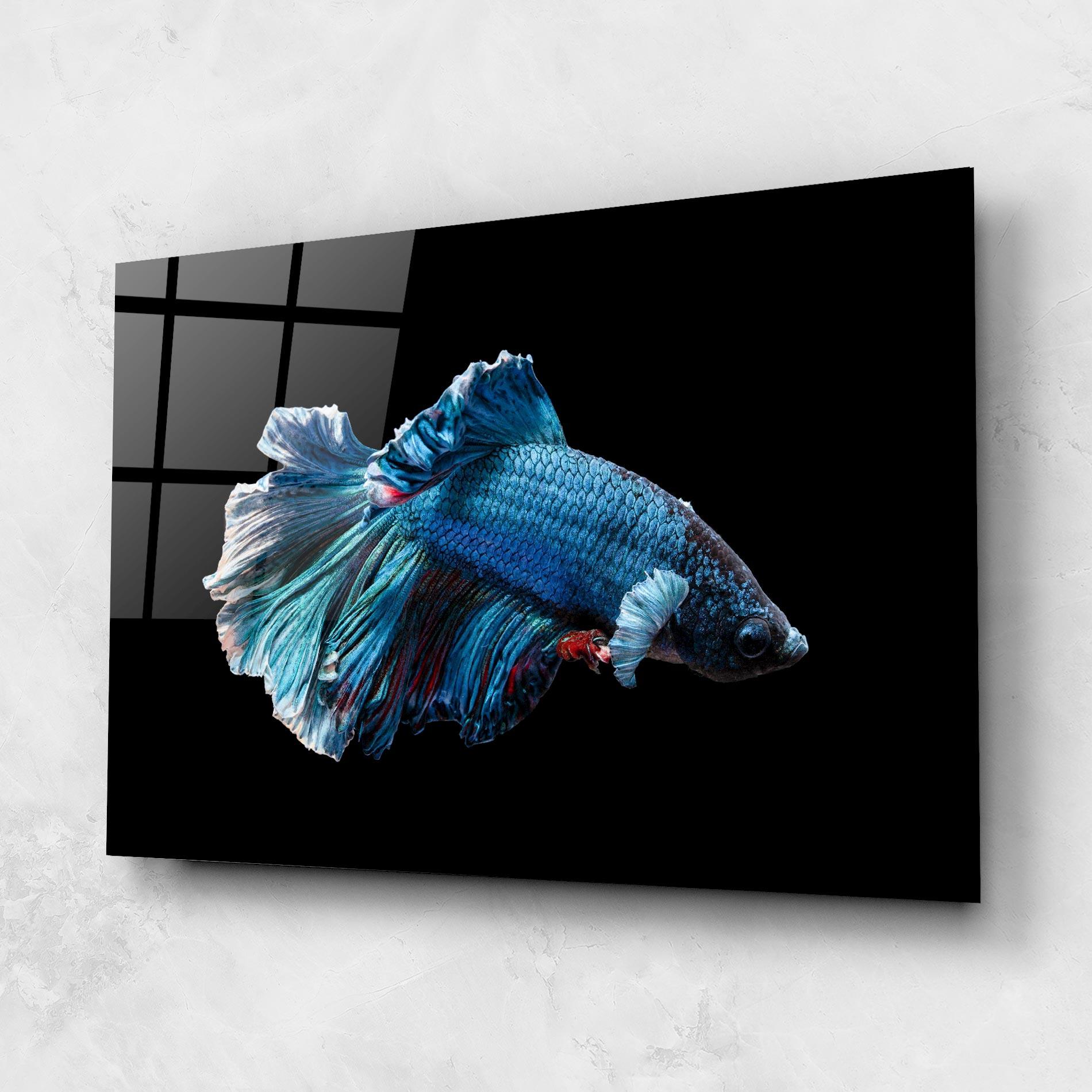 Glasbild Blue Betta mockup 1