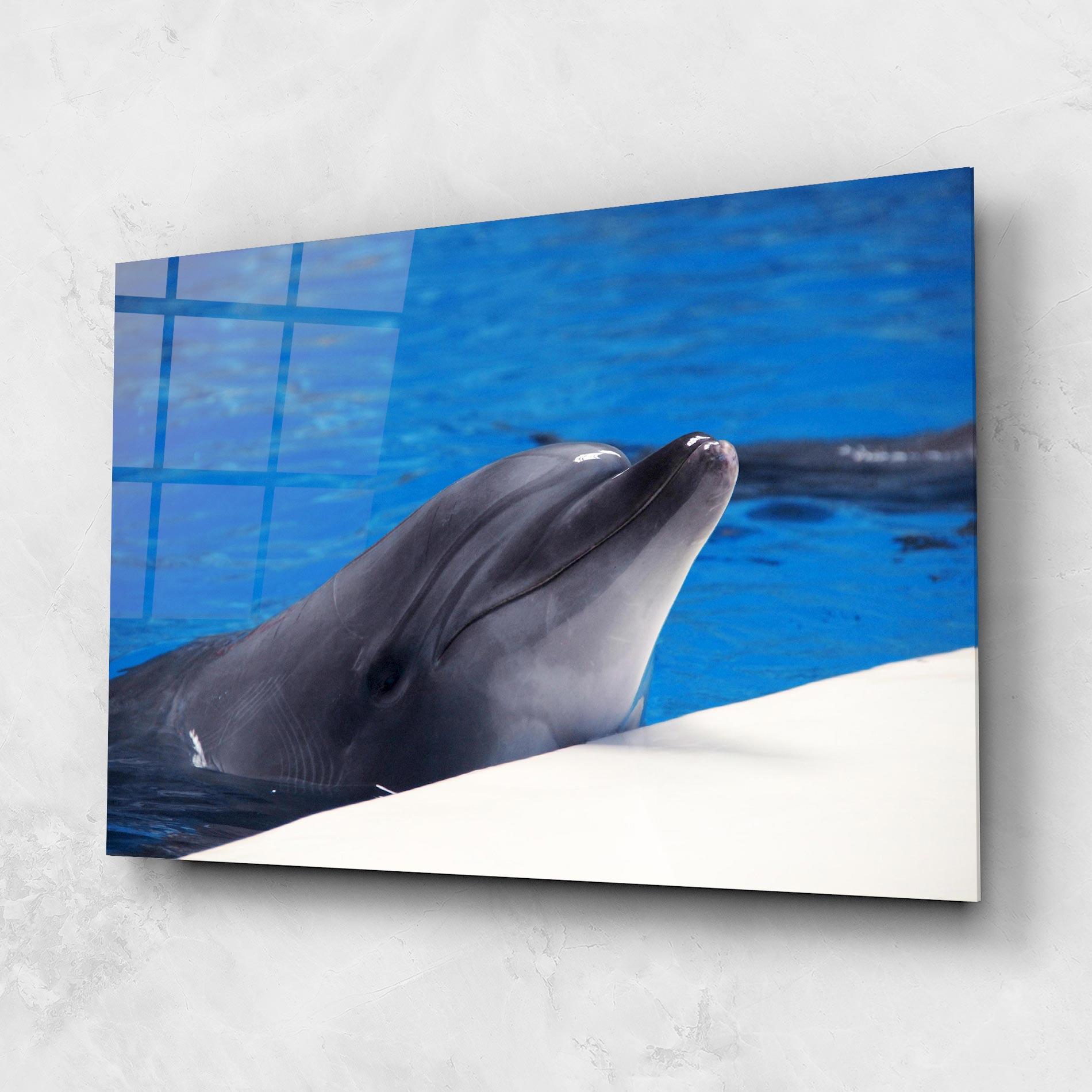 Glasbild Cute Dolphin mockup 1