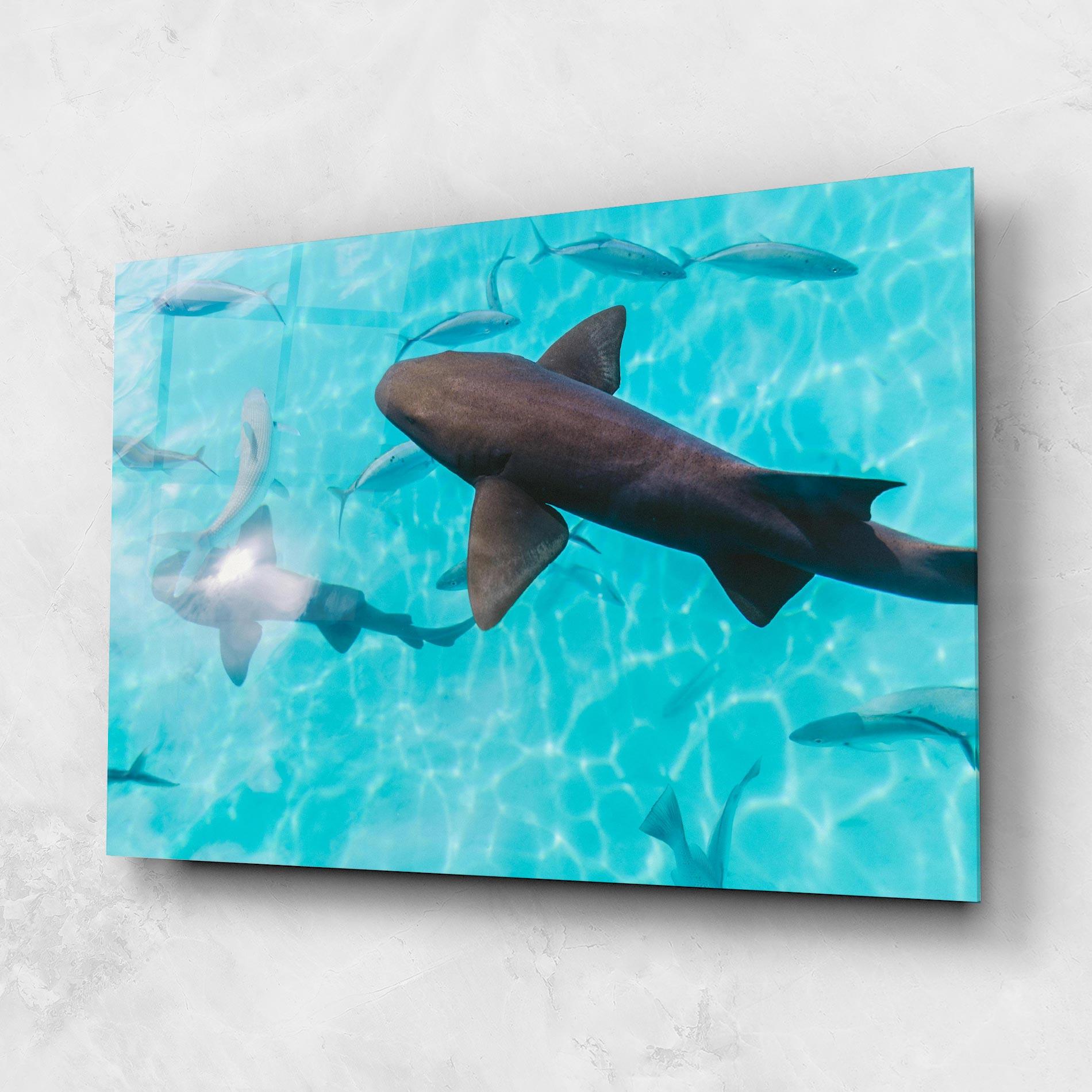 Glasbild Cute Shark mockup 1