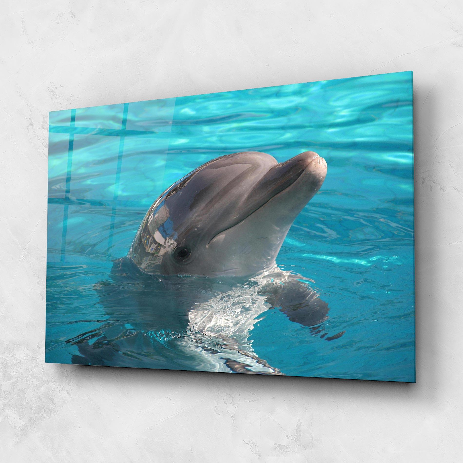 Glasbild Dolphin Poses mockup 1