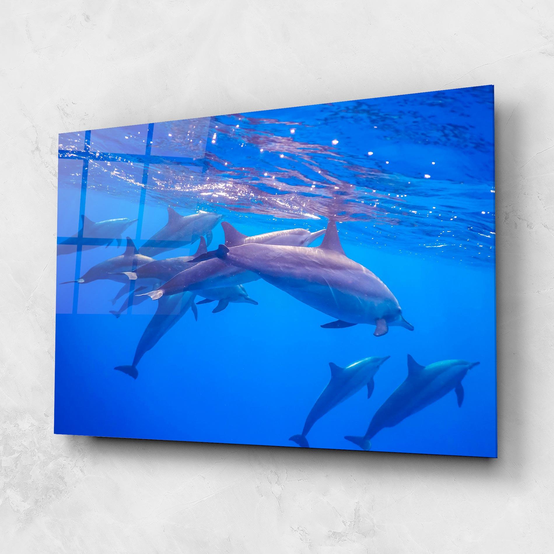 Glasbild Dolphin Family mockup 1