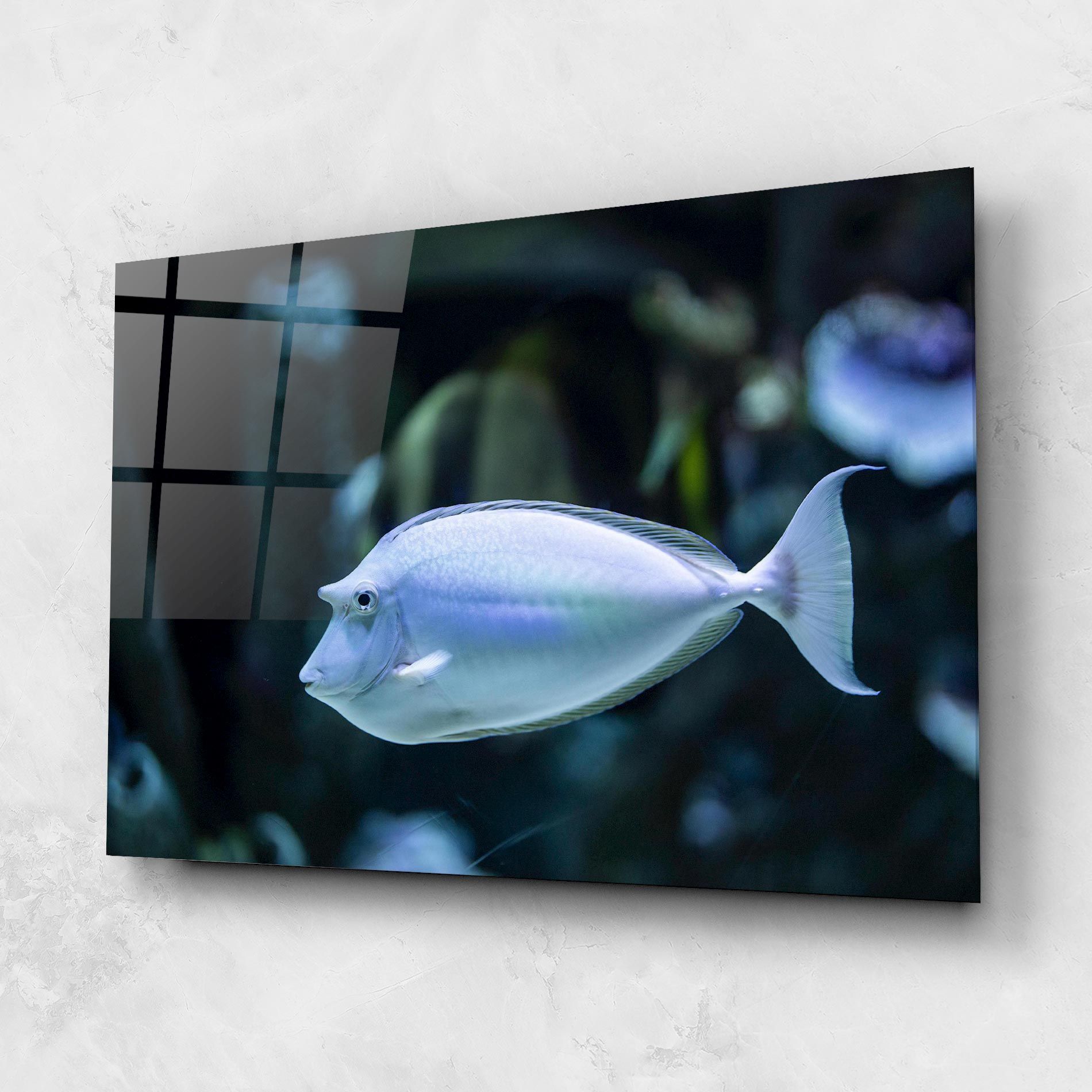 Funny Face Fish mockup 1