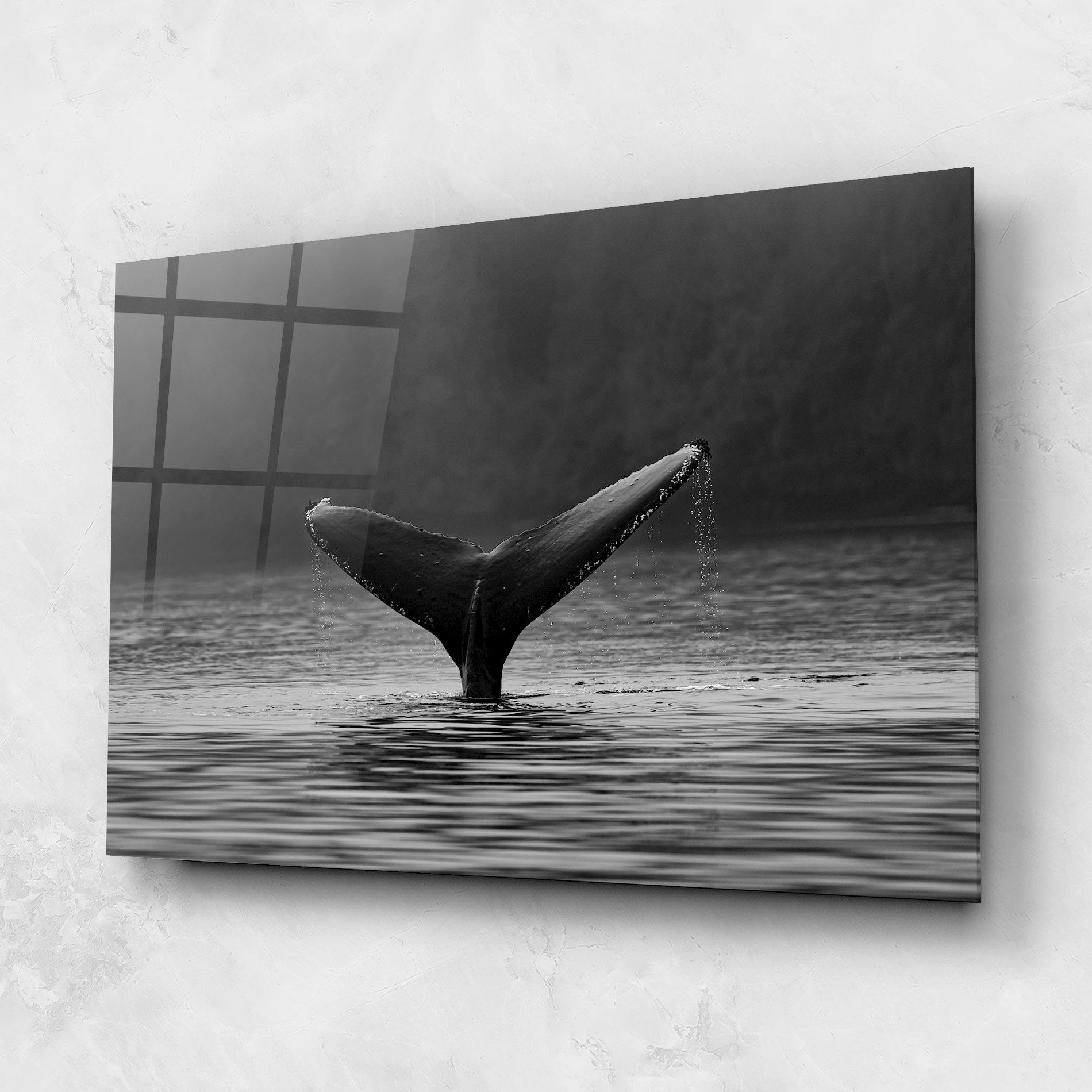 Glasbild Grey Tail mockup 1