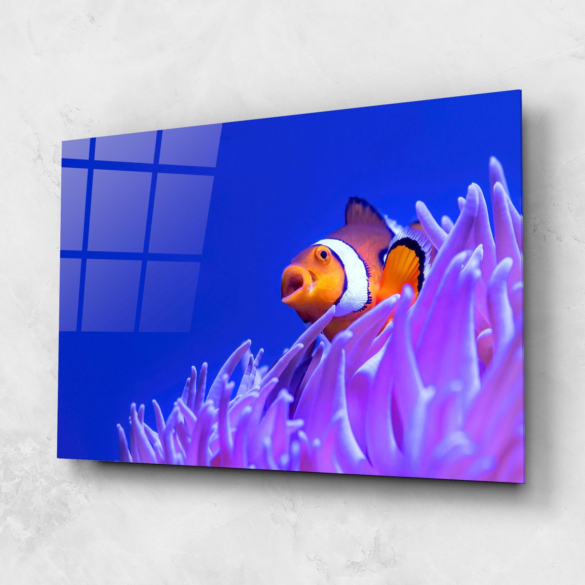 Glasbild Hungry Nemo mockup 1