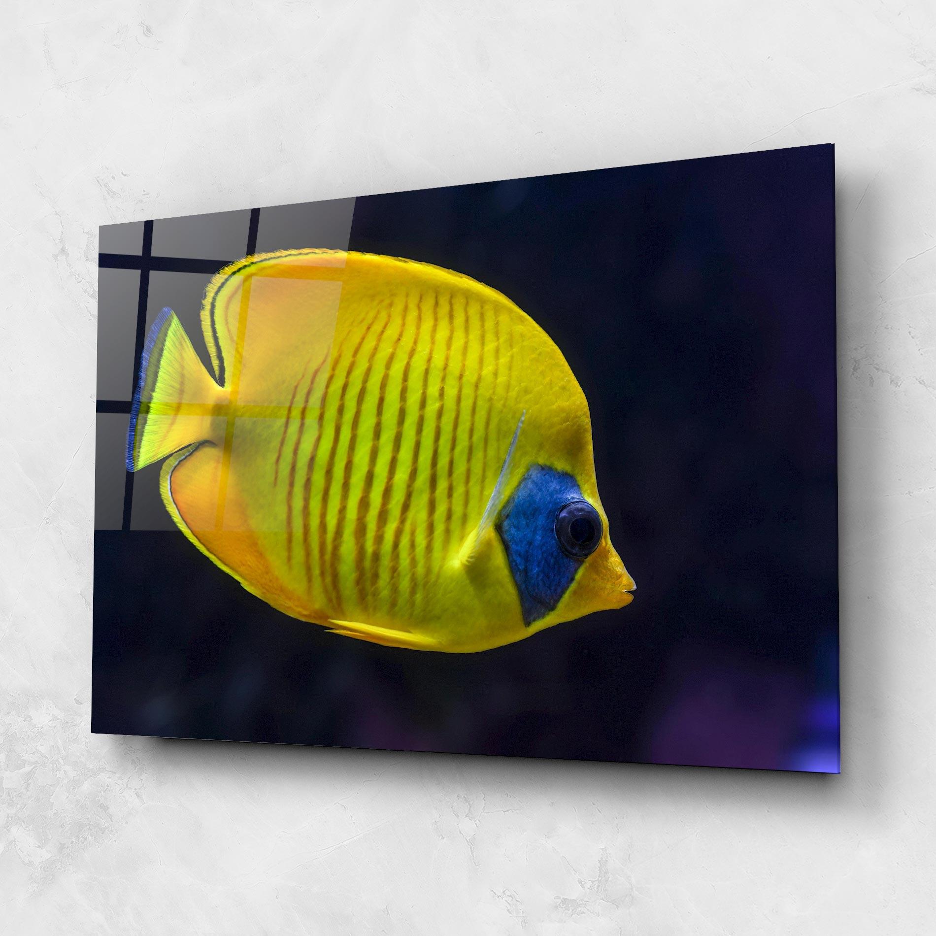 Glasbild Yellow Blue Fish mockup 1