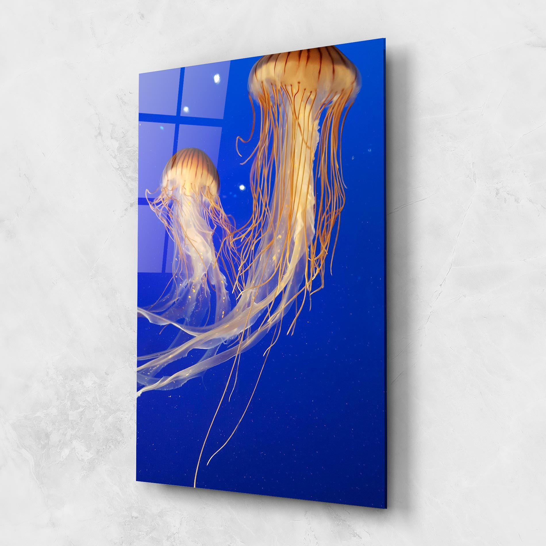 Light Orange Jellyfish mockup 1