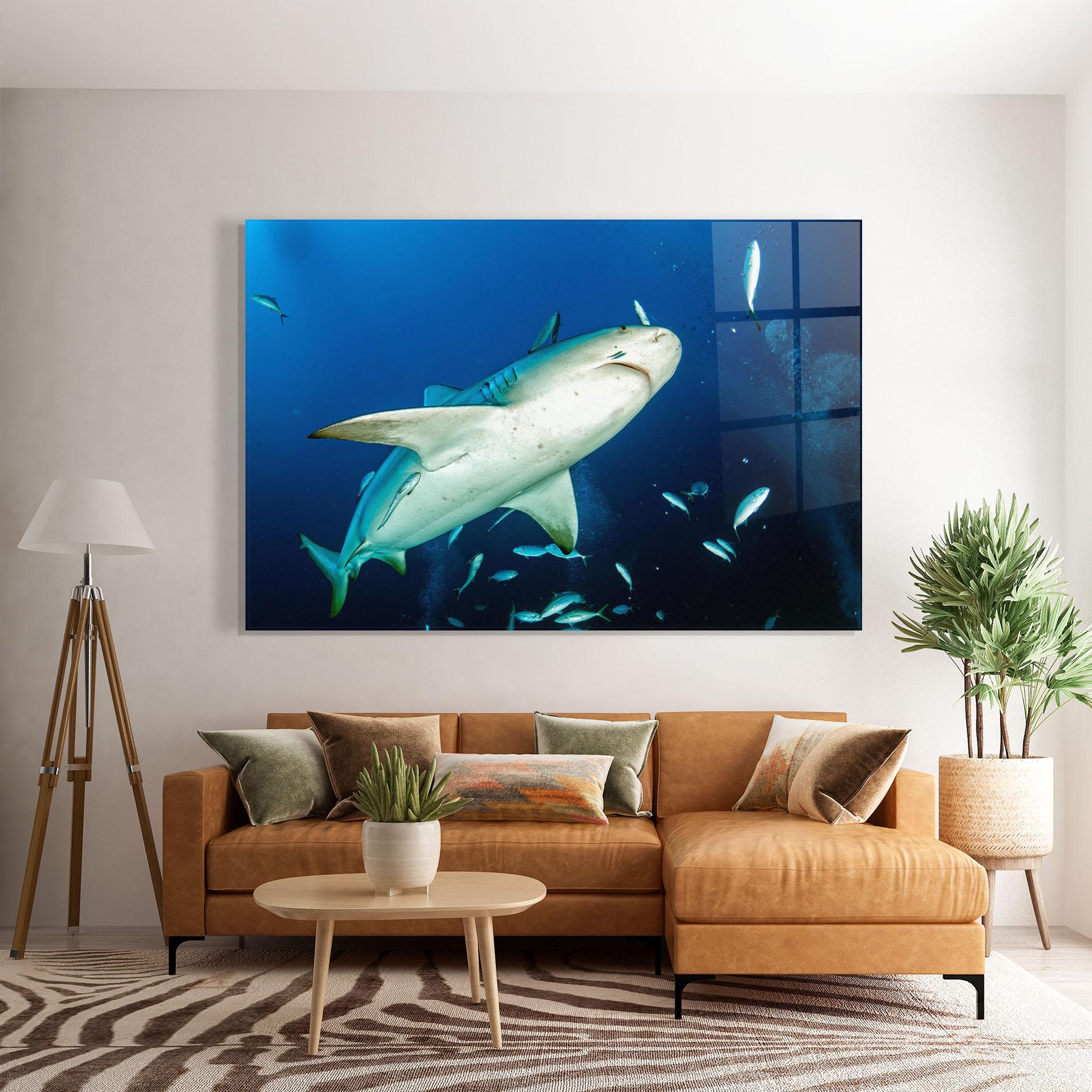 Glasbild Bull Shark mockup 7