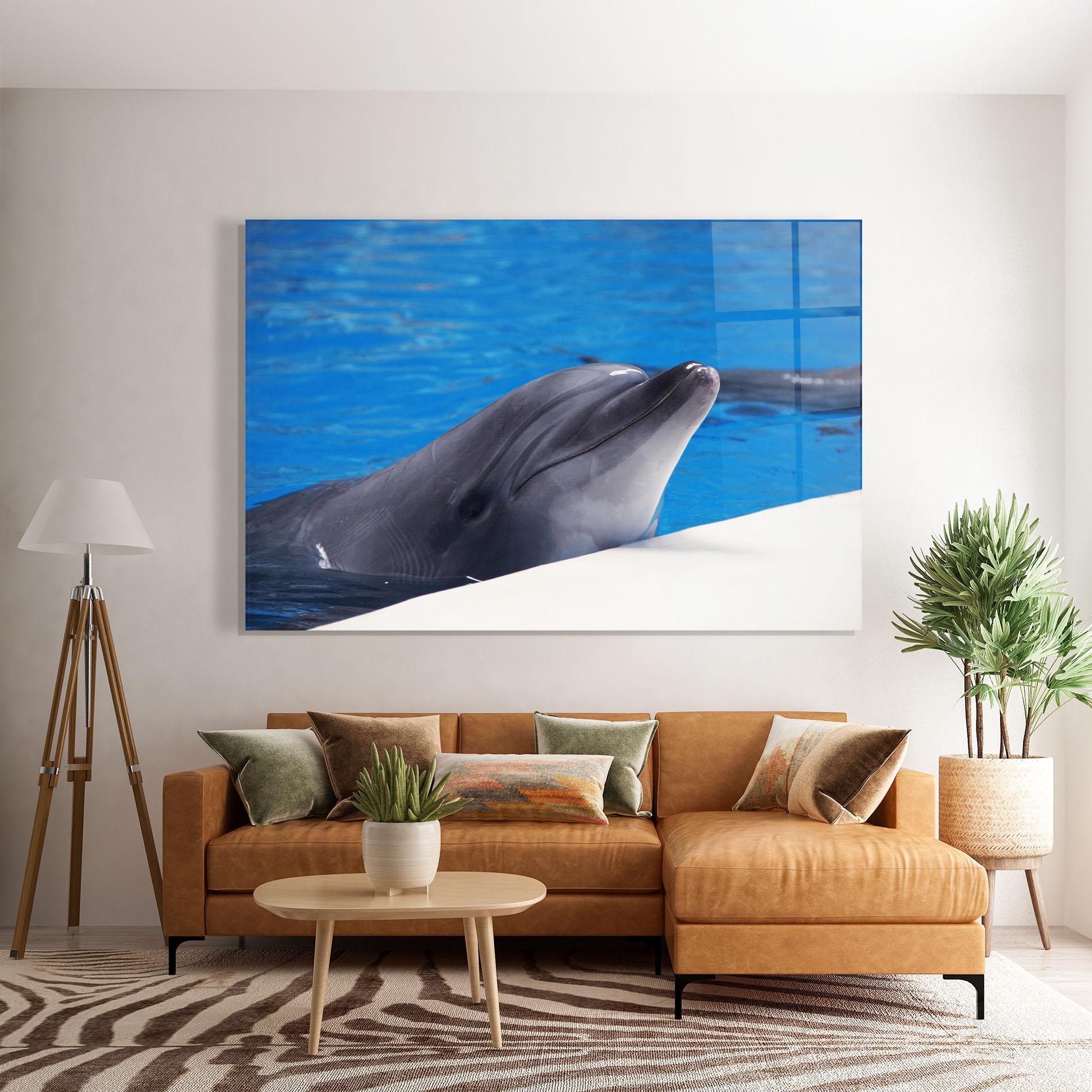 Glasbild Cute Dolphin mockup 7