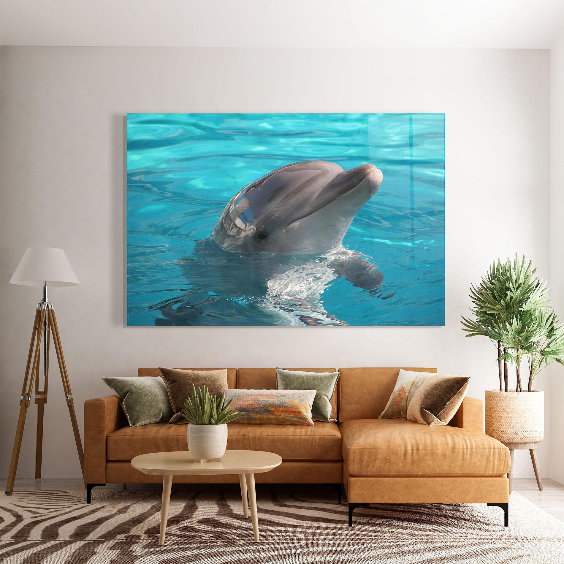 Glasbild Dolphin Poses mockup 7