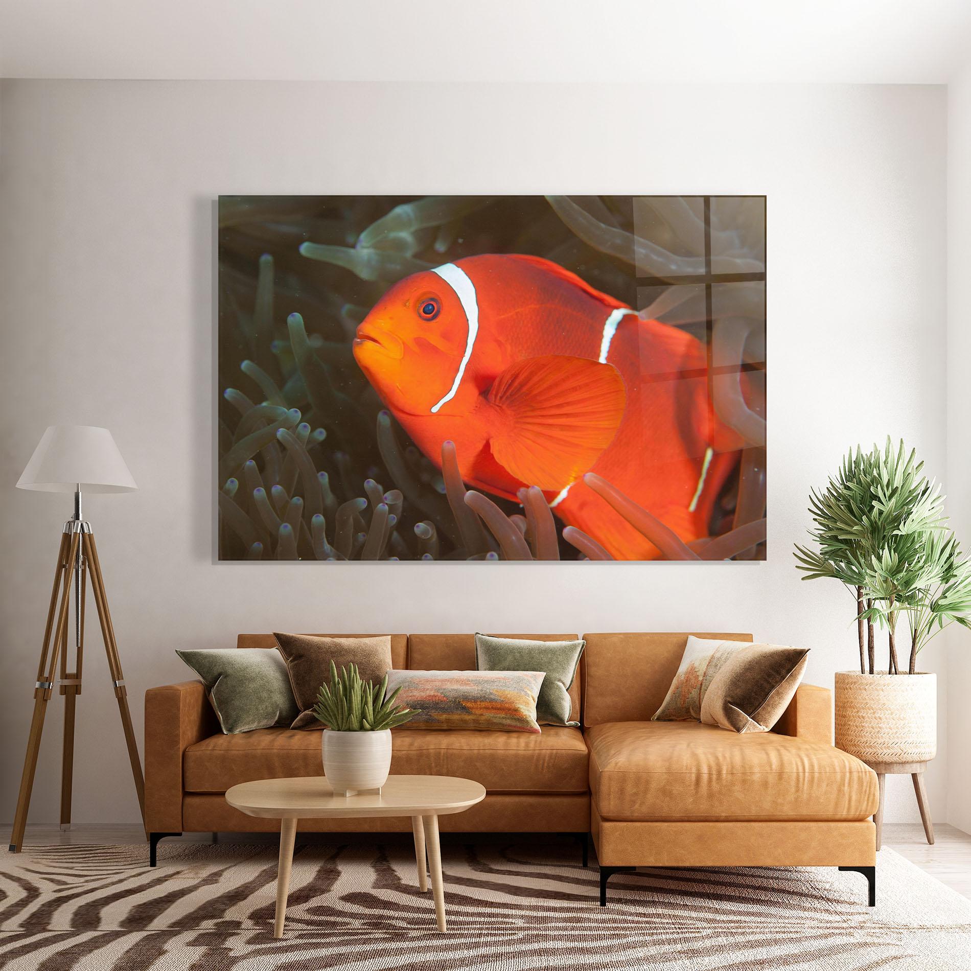 Glasbild Nemo Clownfish mockup 7