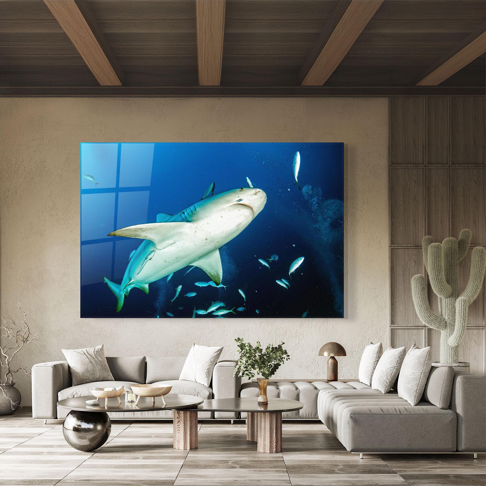 Glasbild Bull Shark mockup 8