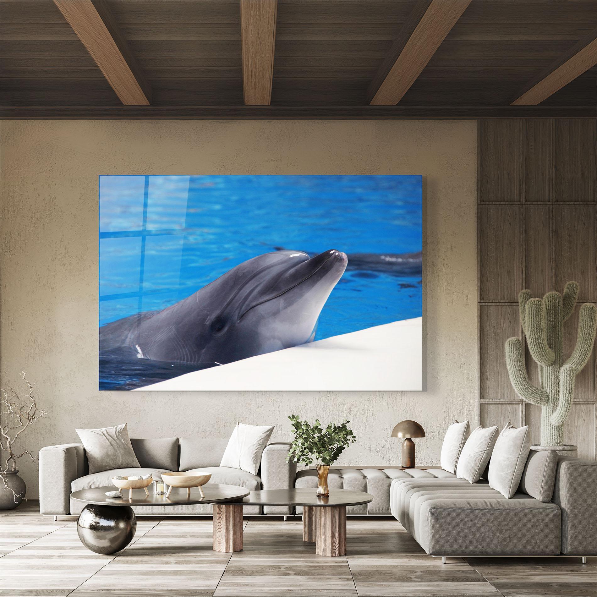 Glasbild Cute Dolphin mockup 8