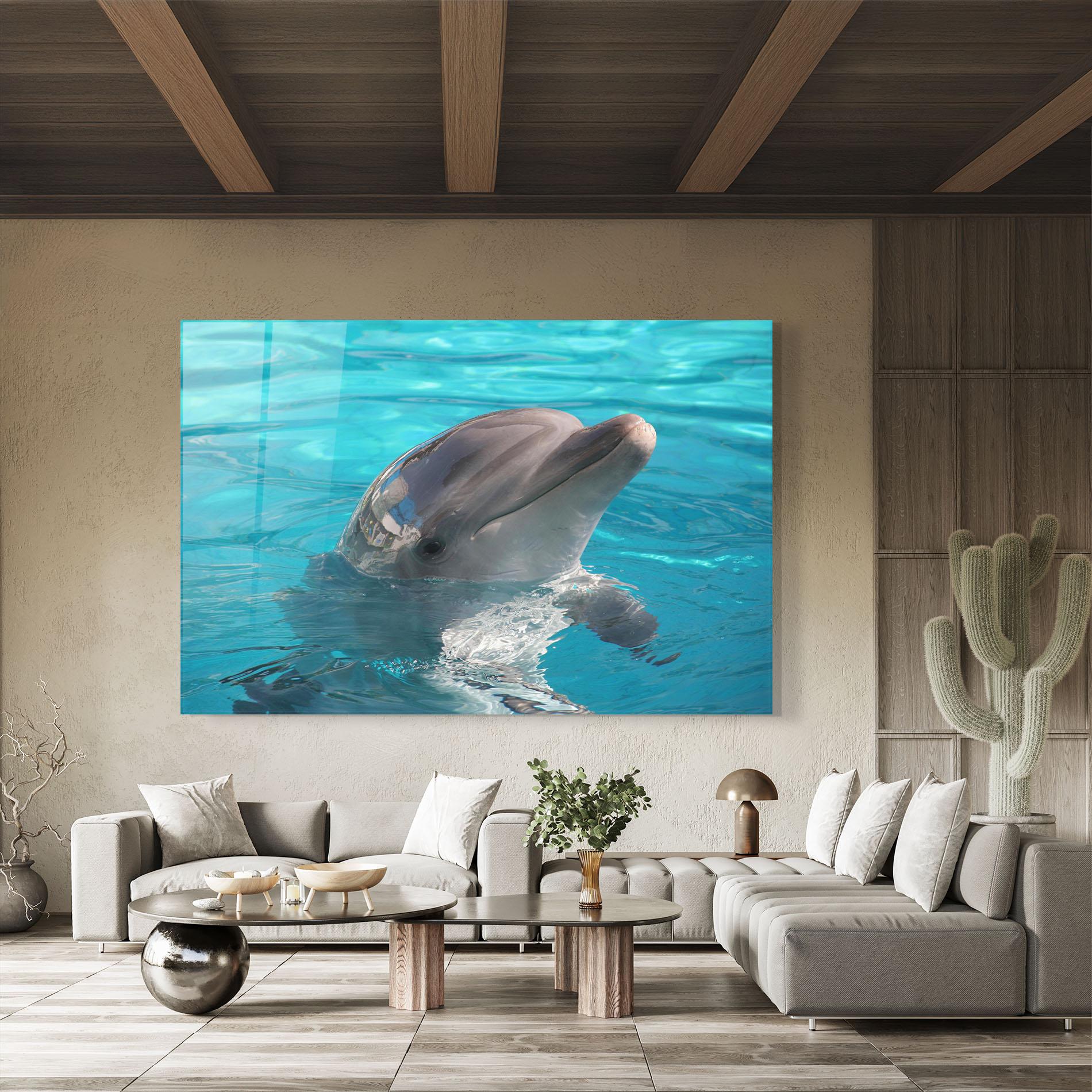 Glasbild Dolphin Poses mockup 8