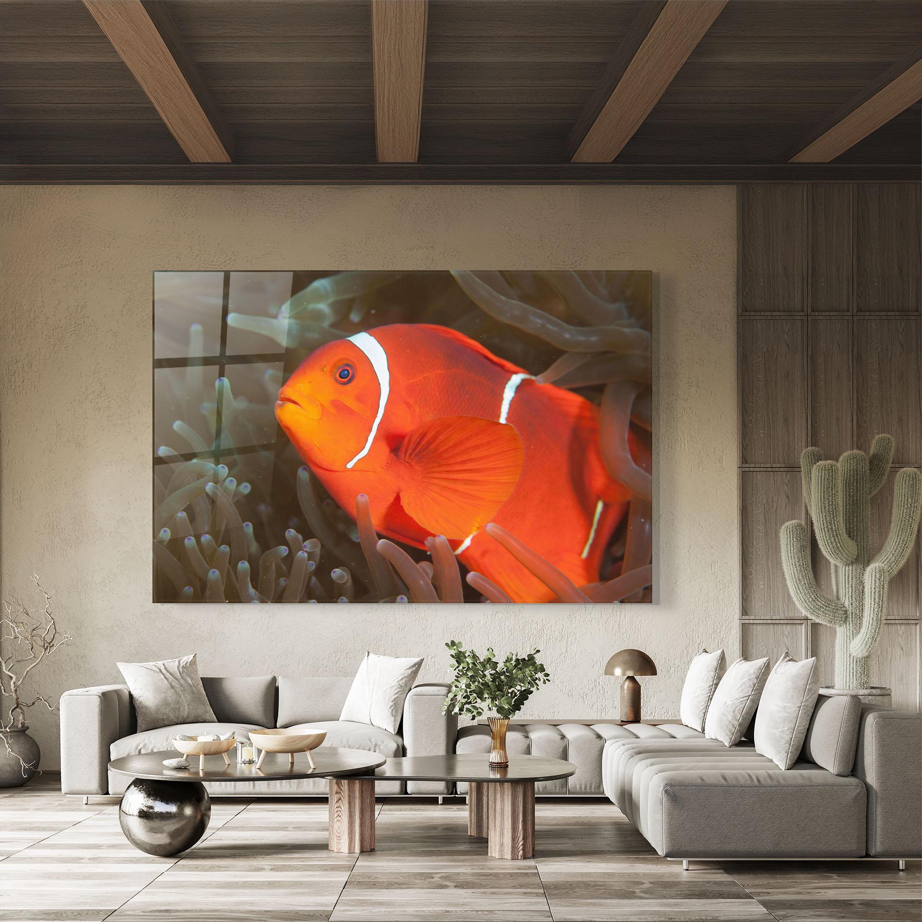 Glasbild Nemo Clownfish mockup 8