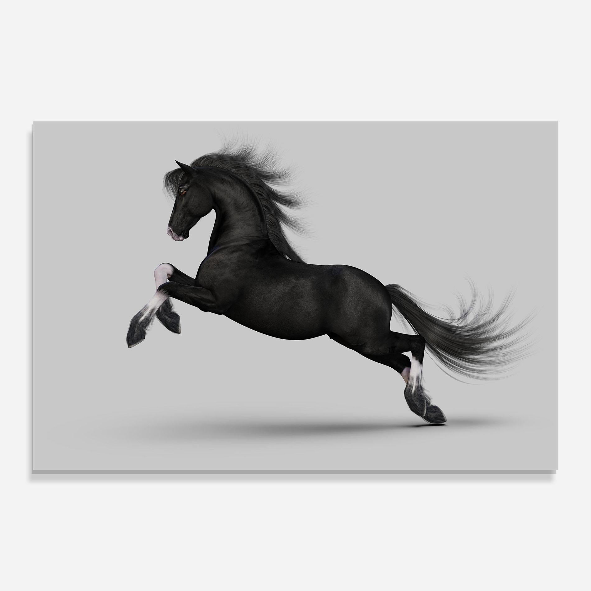Glasbild Black Horse Galloping mockup 0