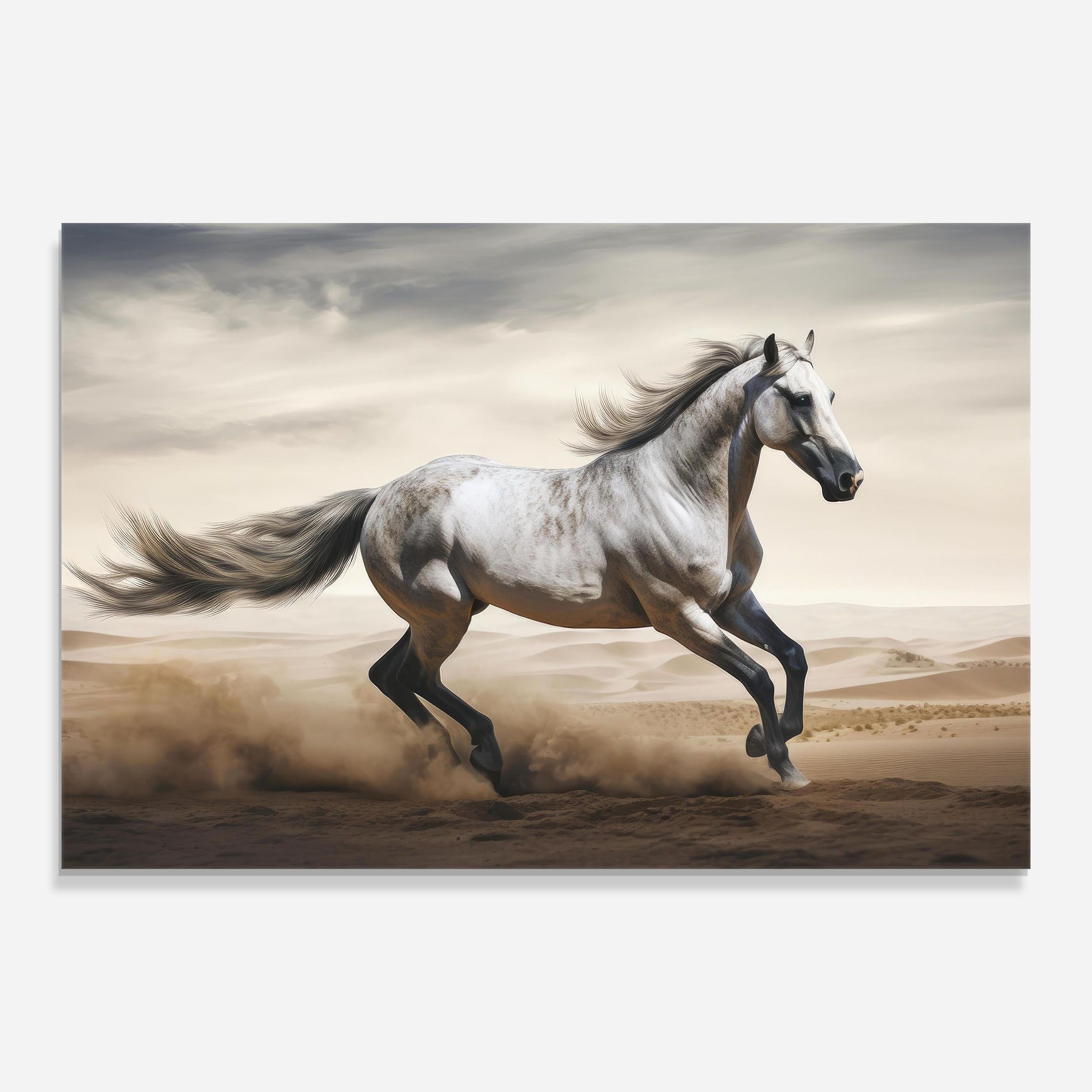 Desert Horse Galloping mockup 0