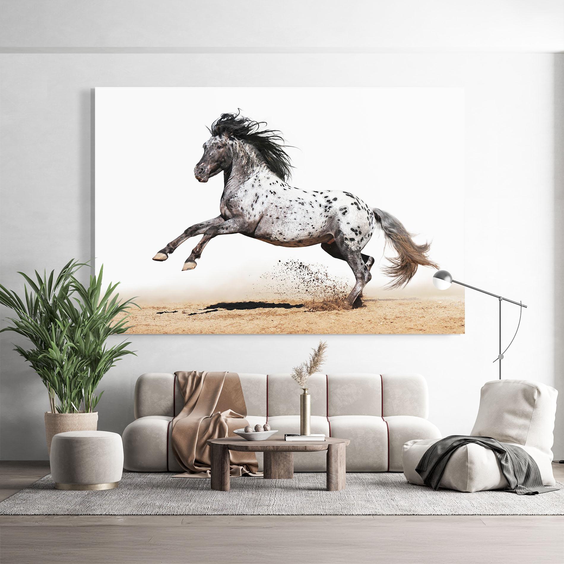 Glasbild Appaloosa Horse Running mockup 9