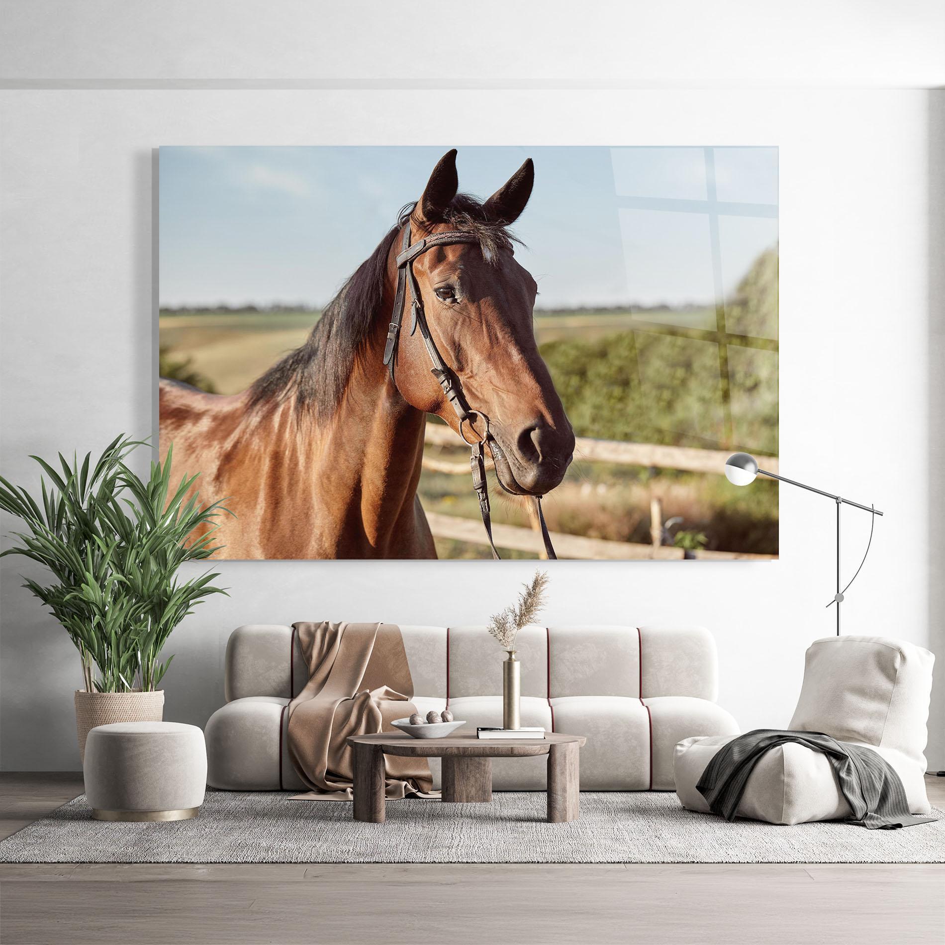 Glasbild Brown Horse Close Up mockup 9
