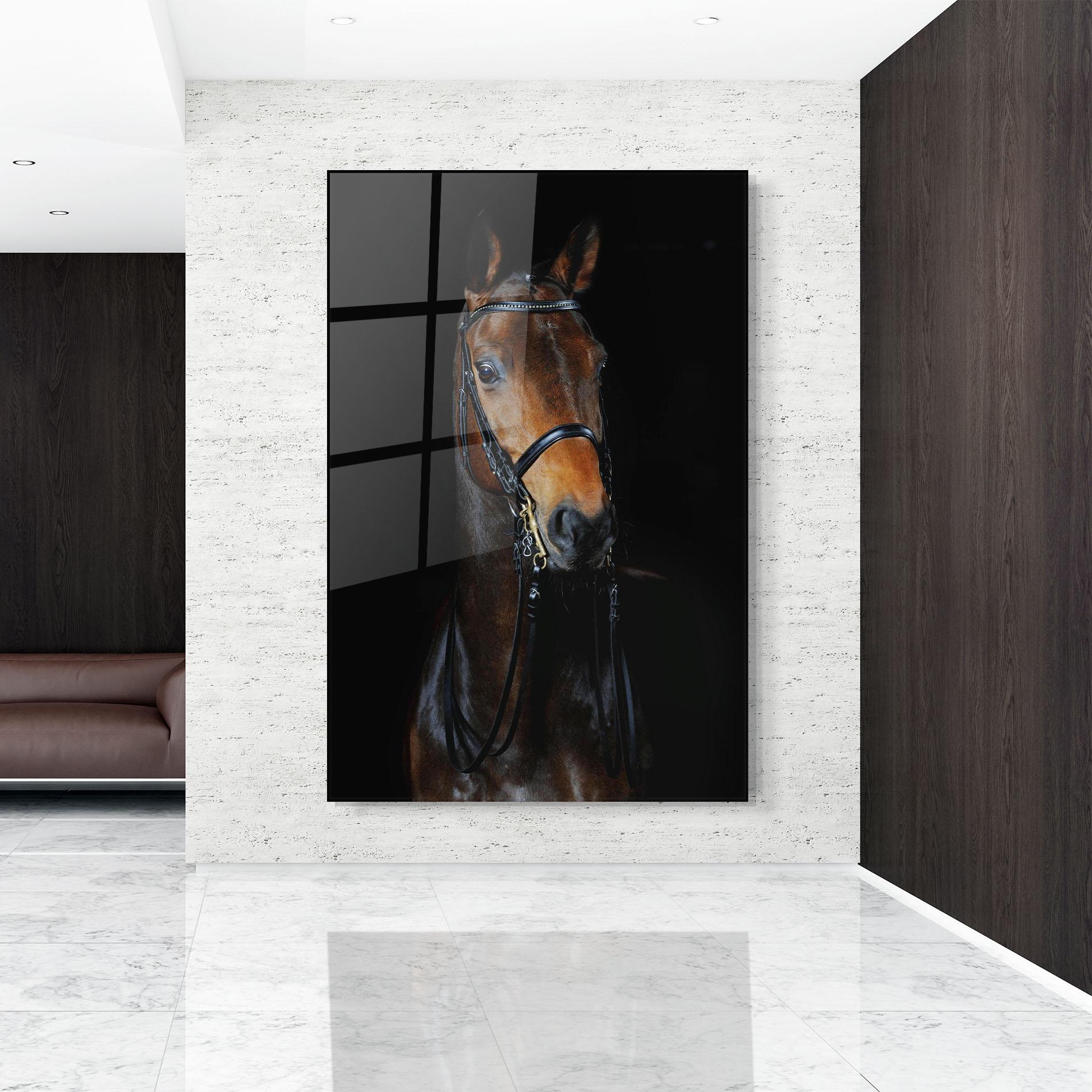 Glasbild Brown Horse On Black mockup 9