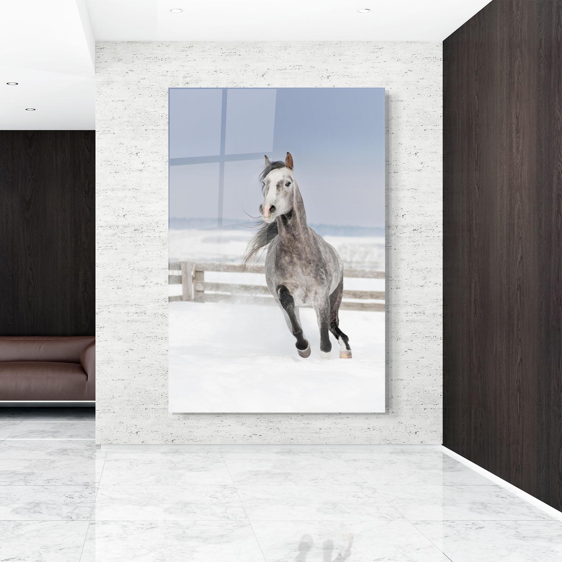 Glasbild Horse Running Free mockup 9