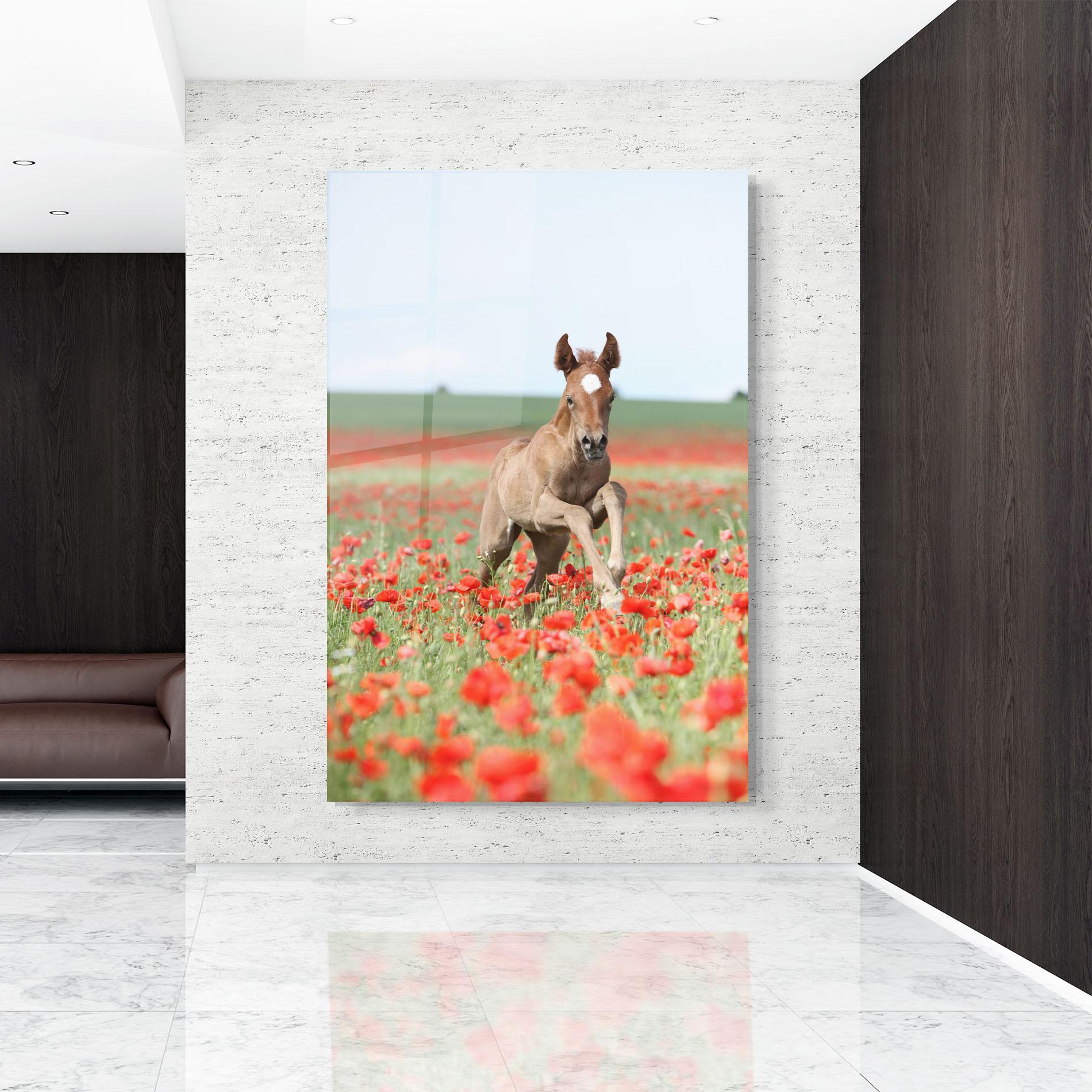 Glasbild Red Flowers Horse mockup 9