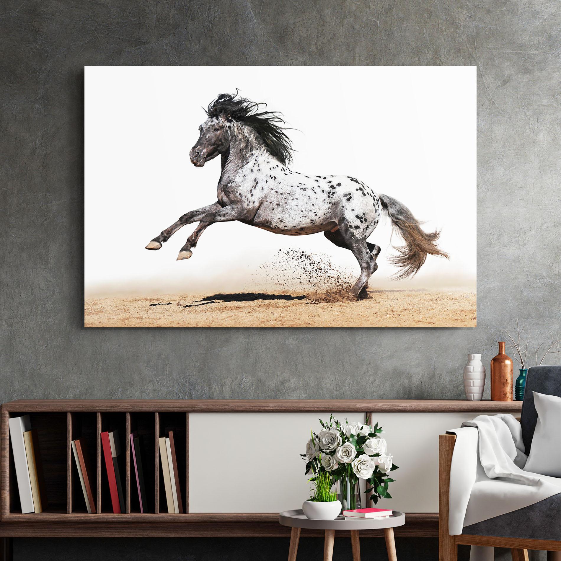 Glasbild Appaloosa Horse Running mockup 2