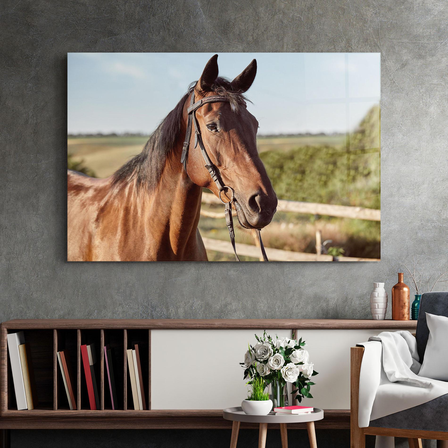 Glasbild Brown Horse Close Up mockup 2