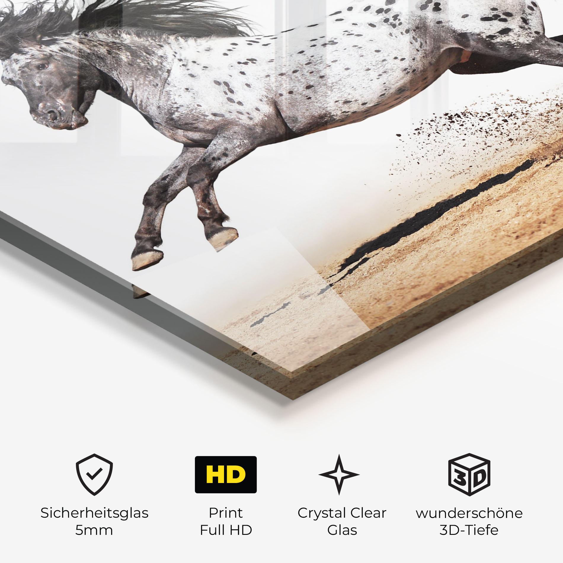 Glasbild Appaloosa Horse Running mockup 3