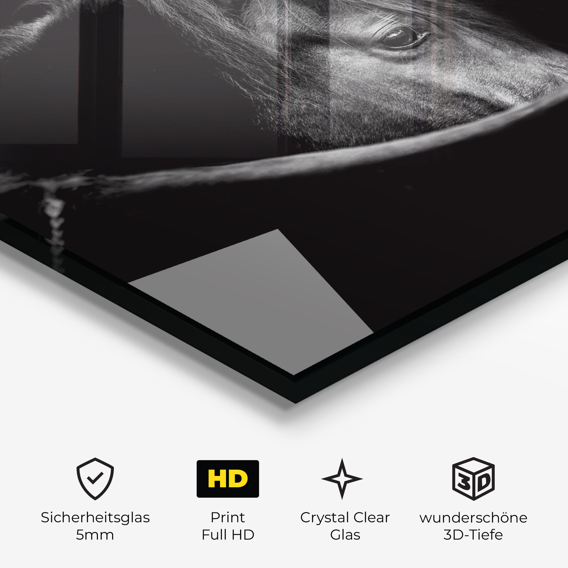 Black Horse Looking mockup 3