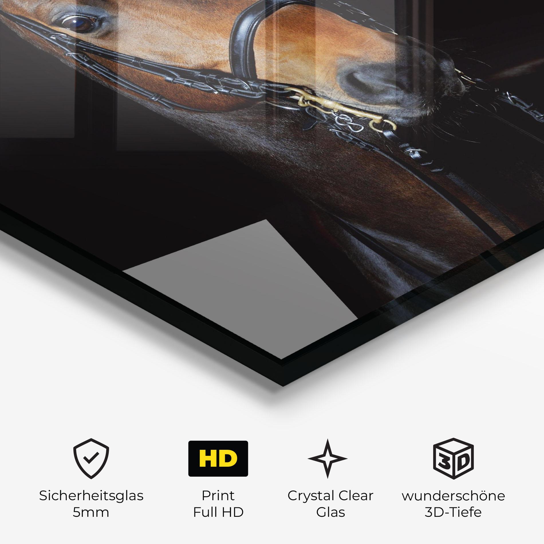 Glasbild Brown Horse On Black mockup 3