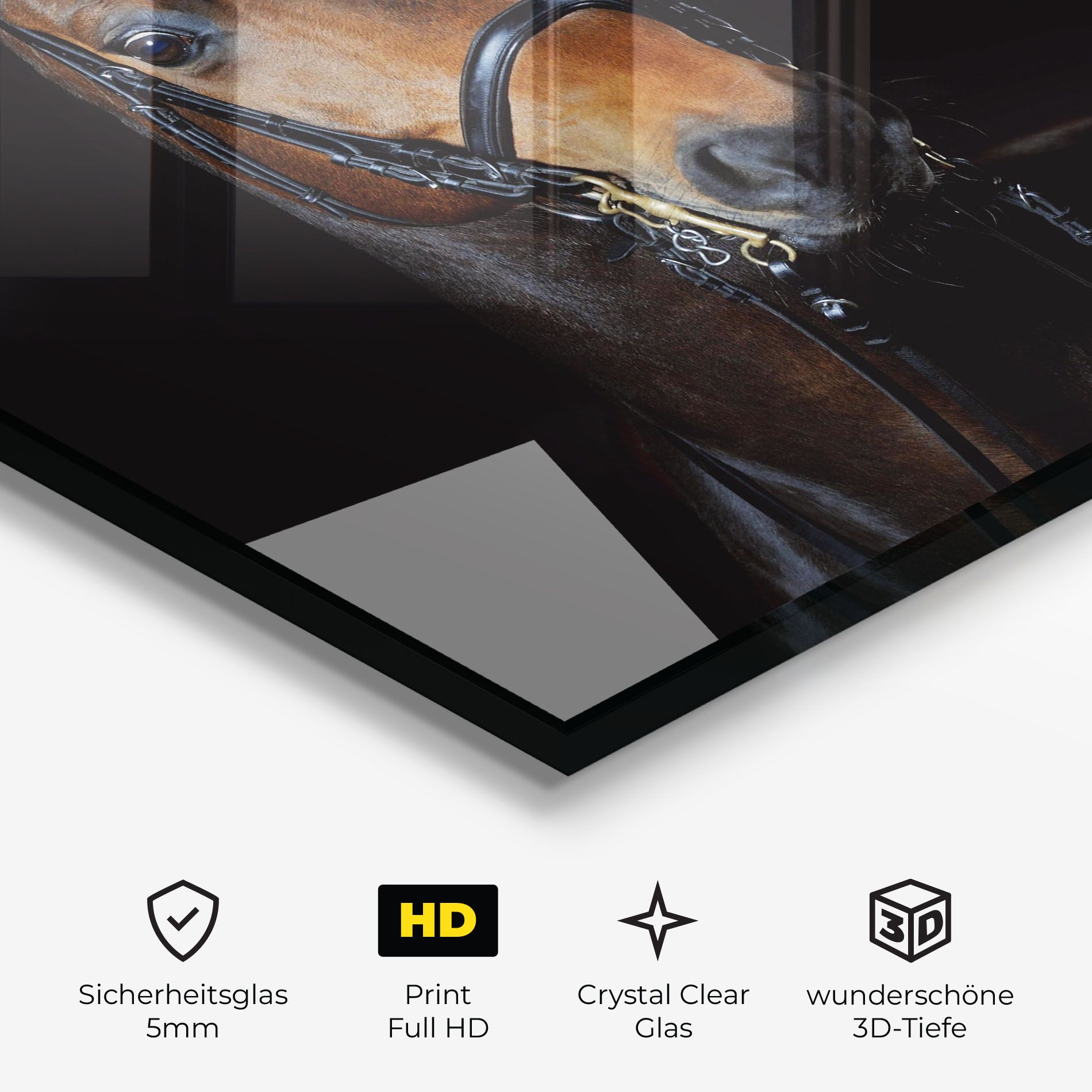 Brown Horse On Black mockup 3