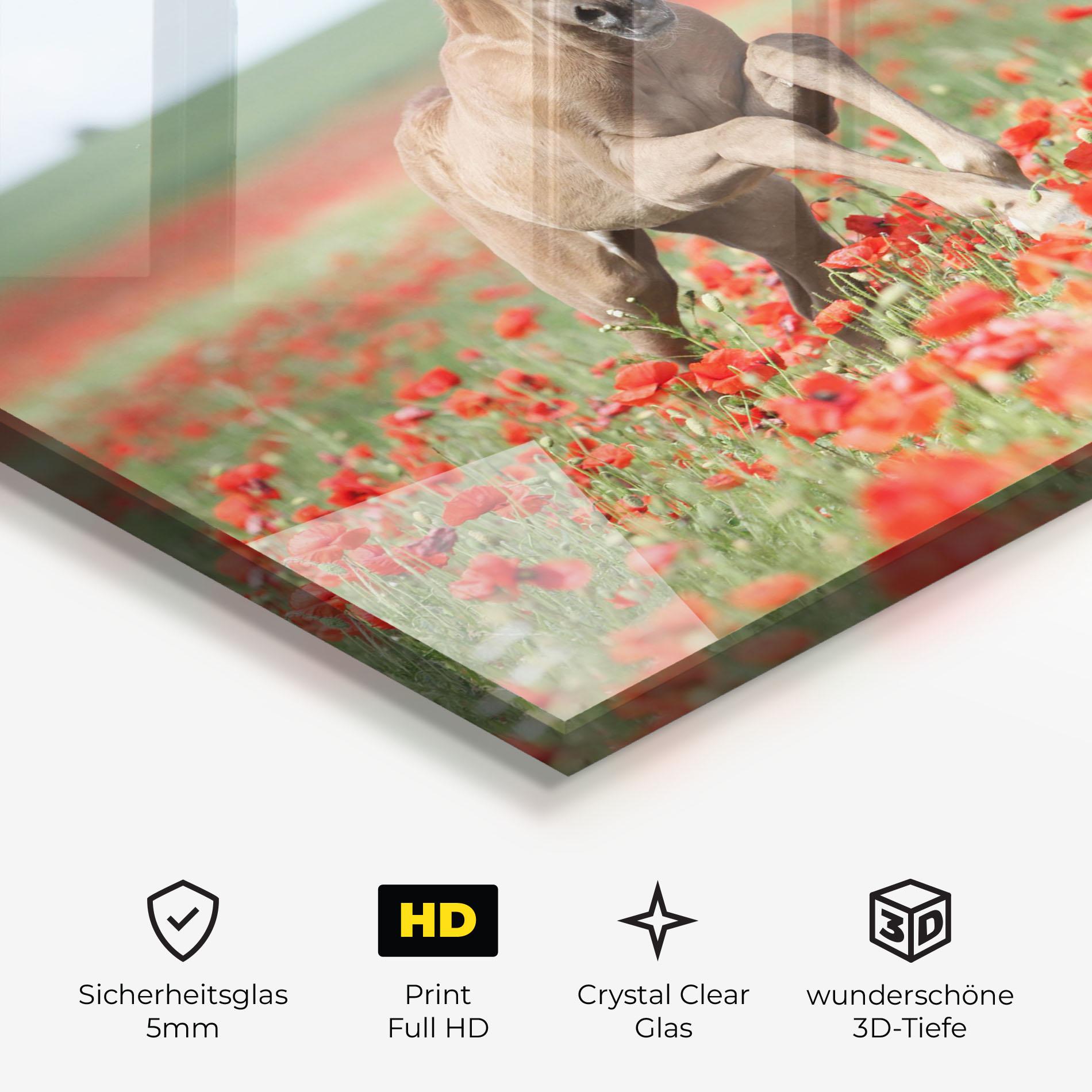 Glasbild Red Flowers Horse mockup 3