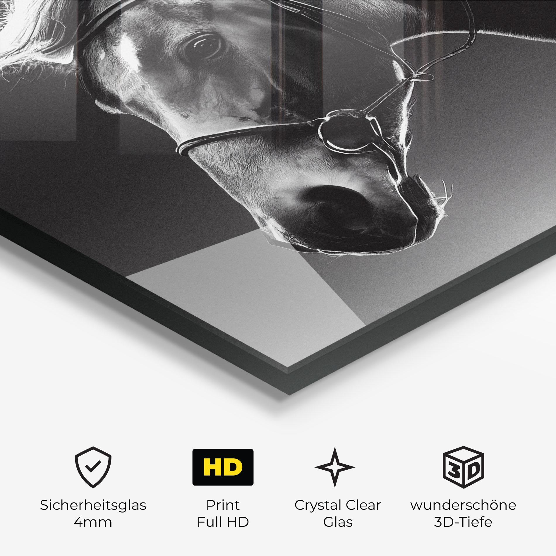 Glasbild Black Horse Profile mockup 3