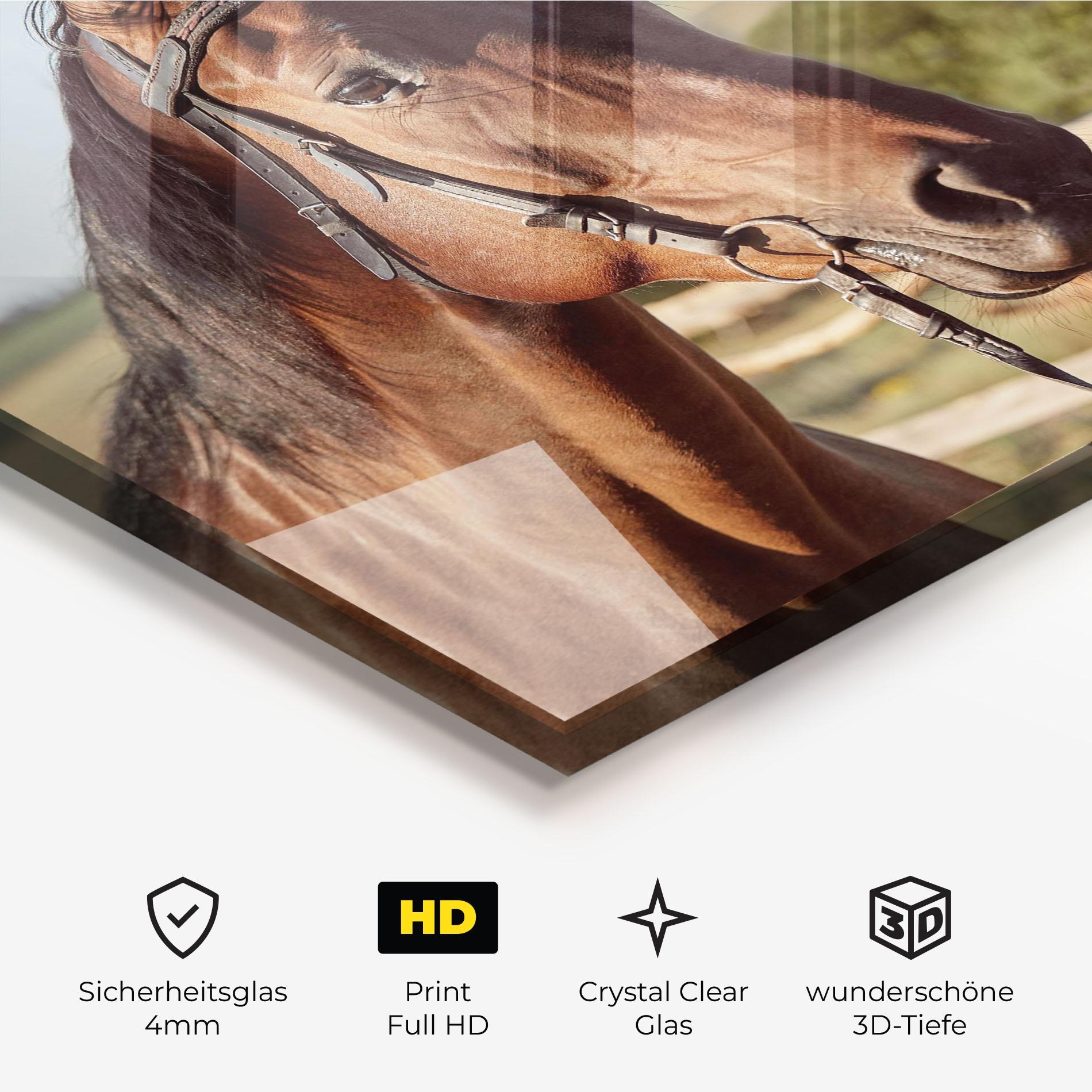 Glasbild Brown Horse Close Up mockup 3