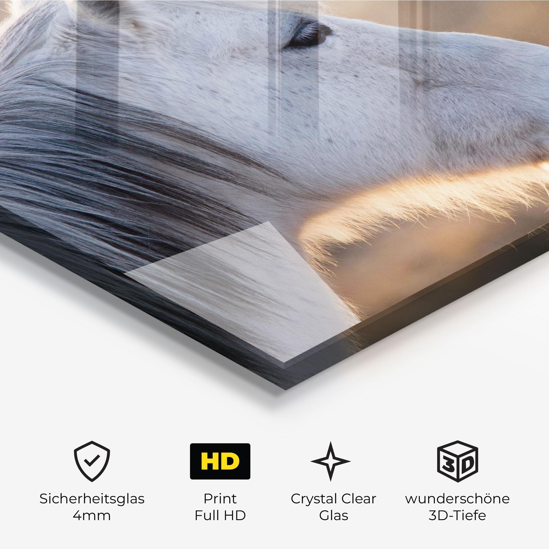 Glasbild Light Gray Horse Looking mockup 3