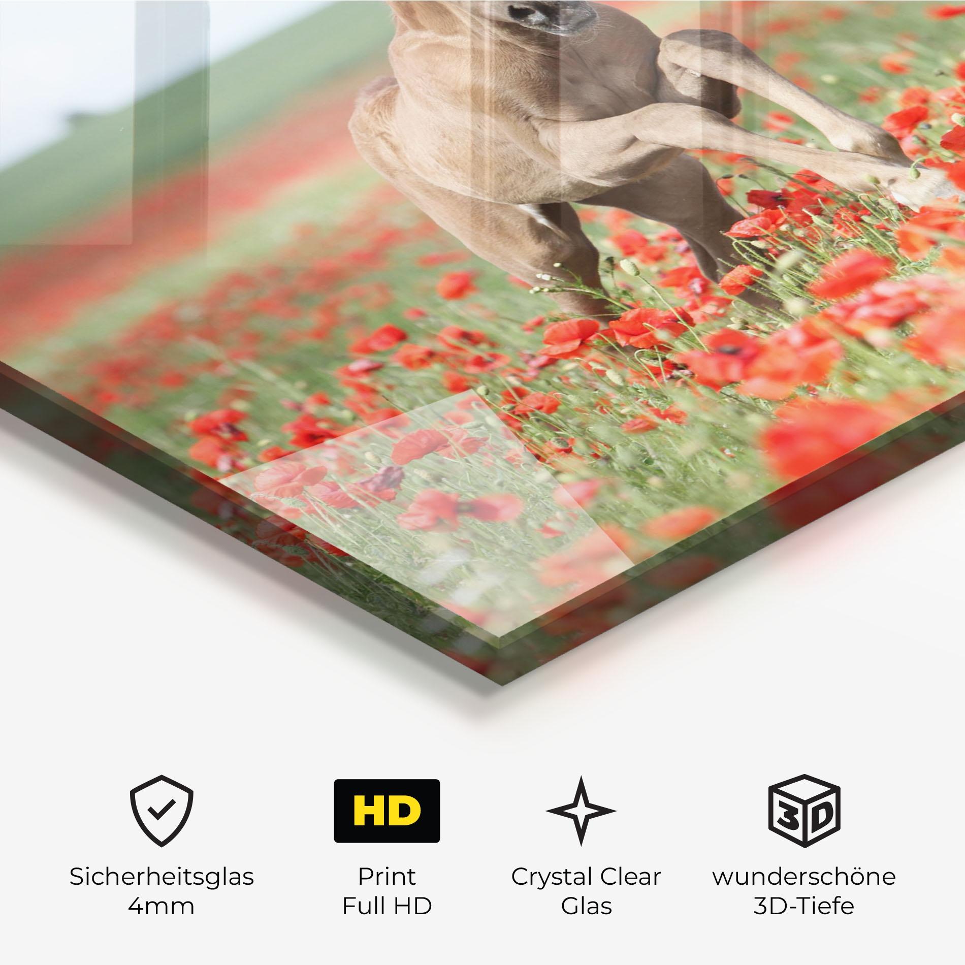 Glasbild Red Flowers Horse mockup 3